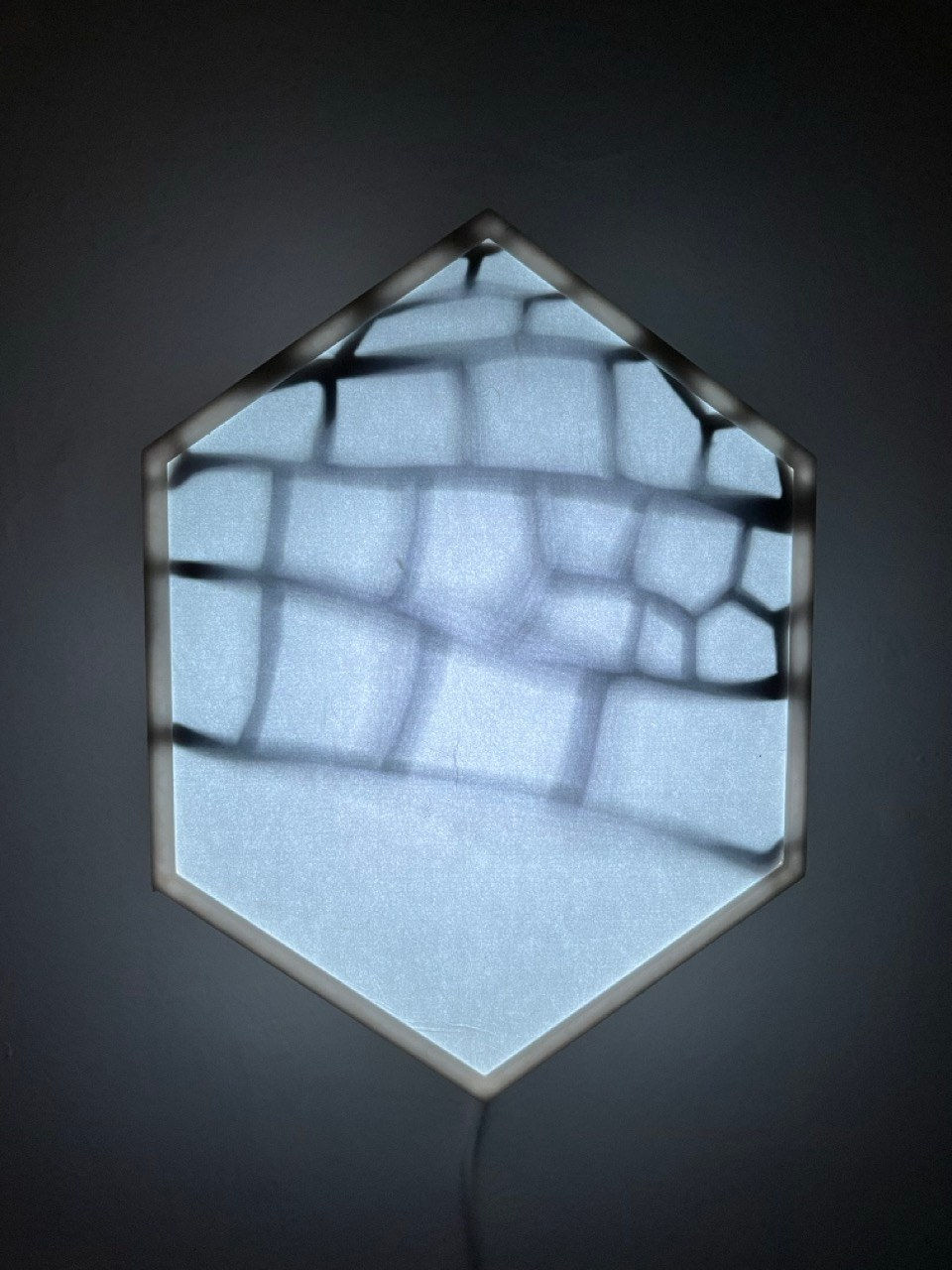 Kat Austen, Wing/net 6 Hokkaido, 2024