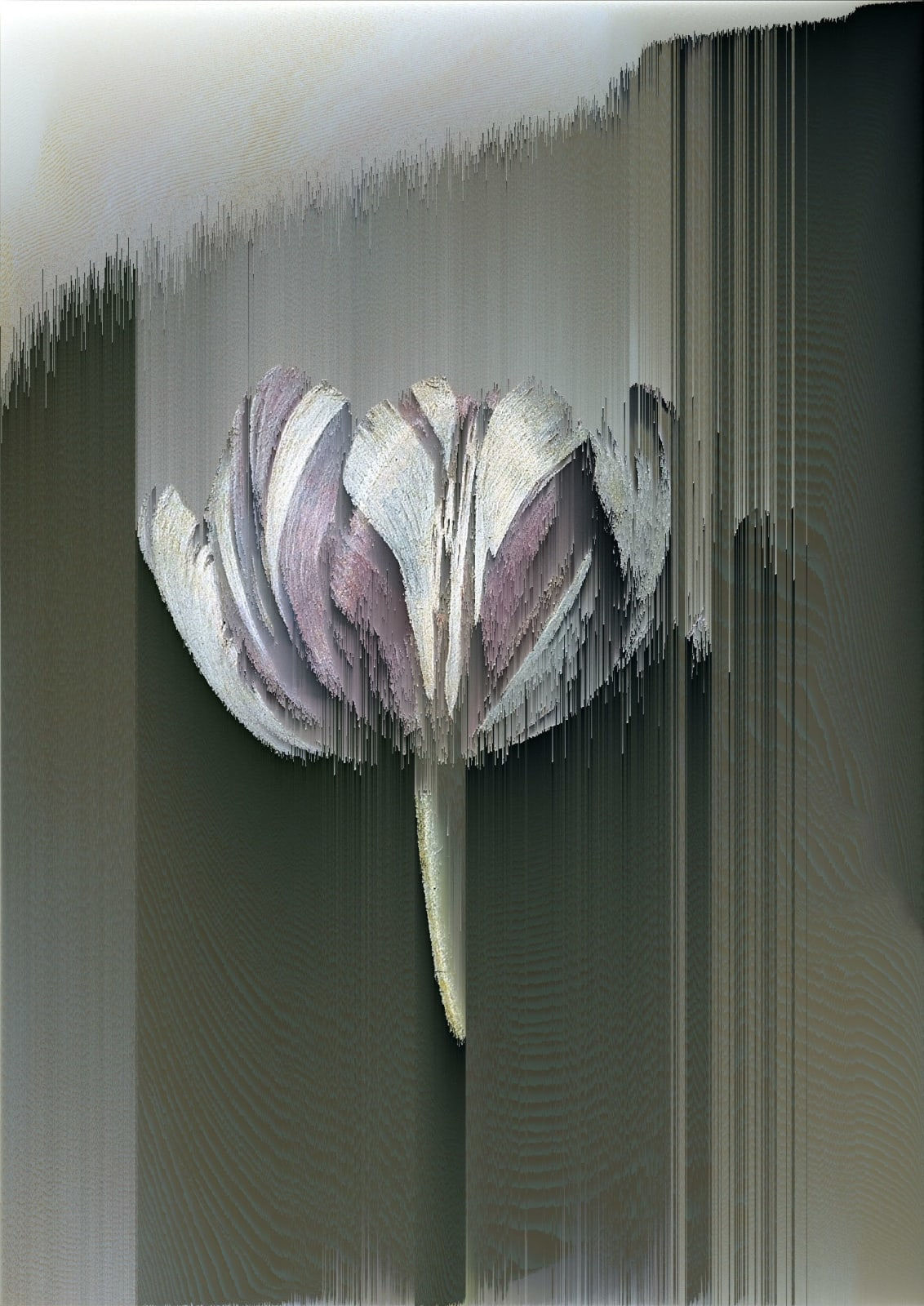 Gordon Cheung, Fear And Greed, 2021