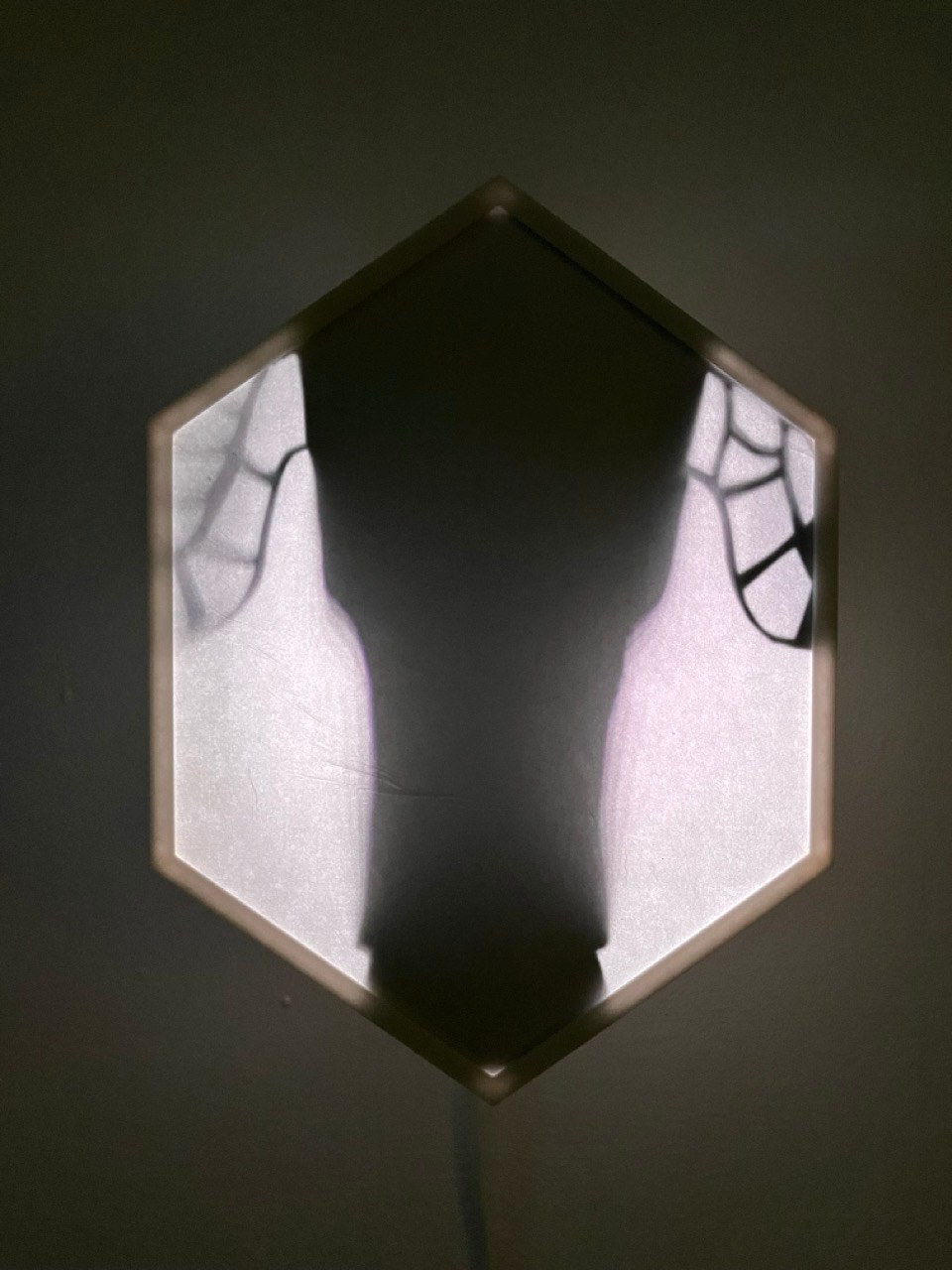 Kat Austen, Wing/net 9 Hokkaido, 2024