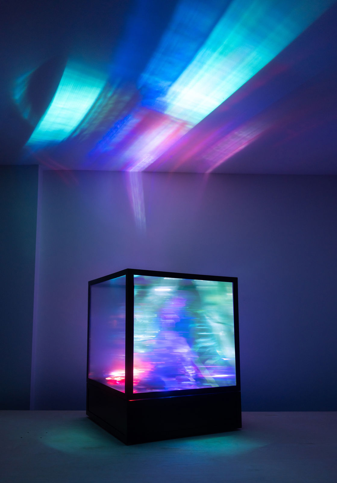 Maja Petrić, Specimens of Time: Coral Triangle (Southeast Asia and the Pacific), 2025