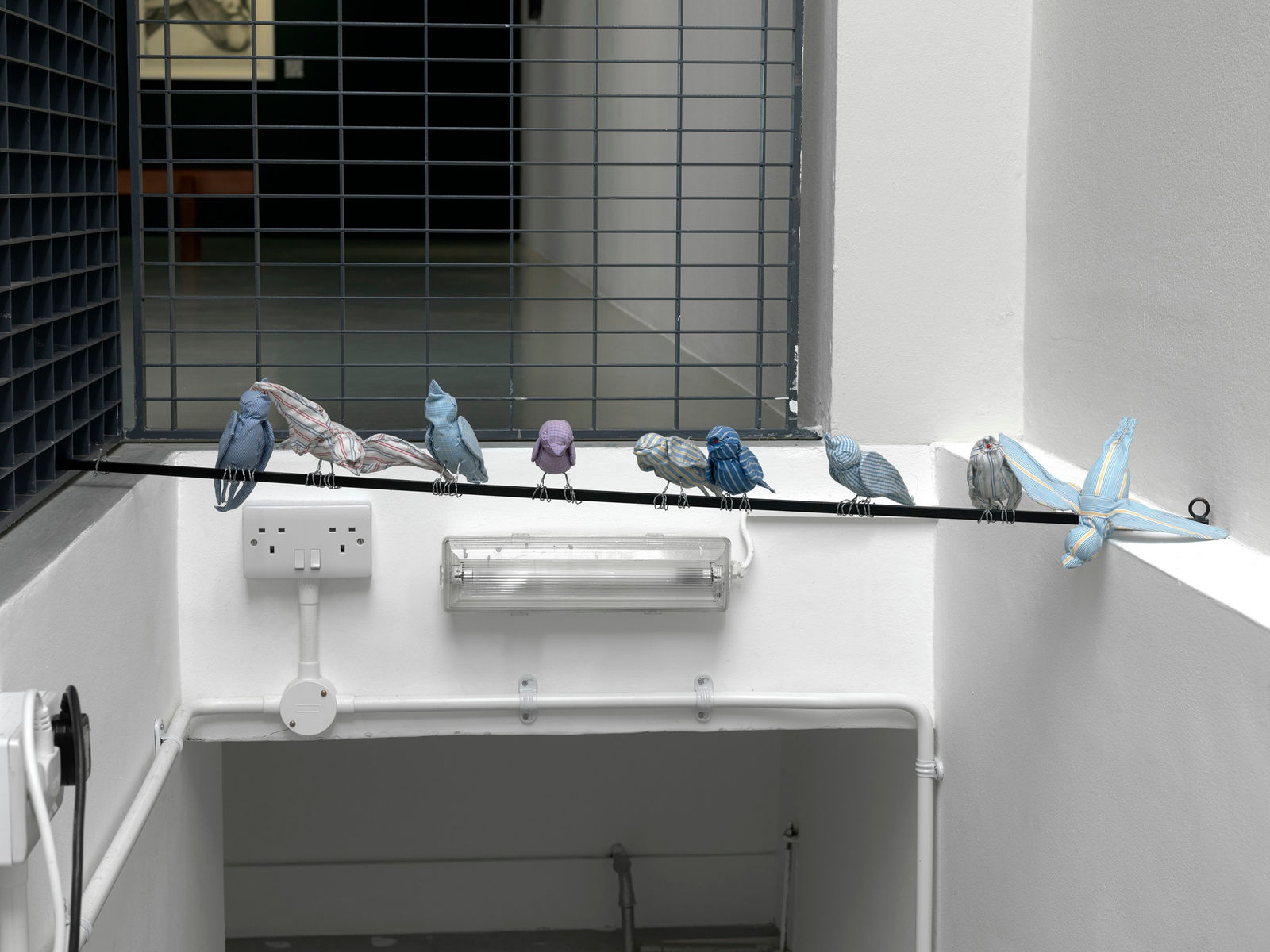 Hannah Scott, Crossing Lines, 2024