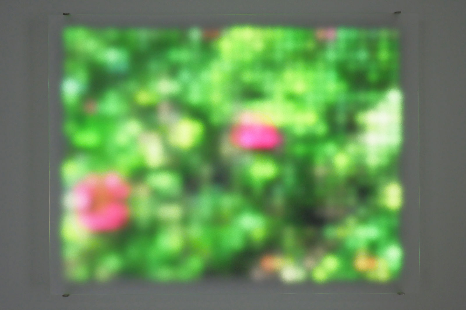 Jim Campbell, Motion Color Study #2, 2024