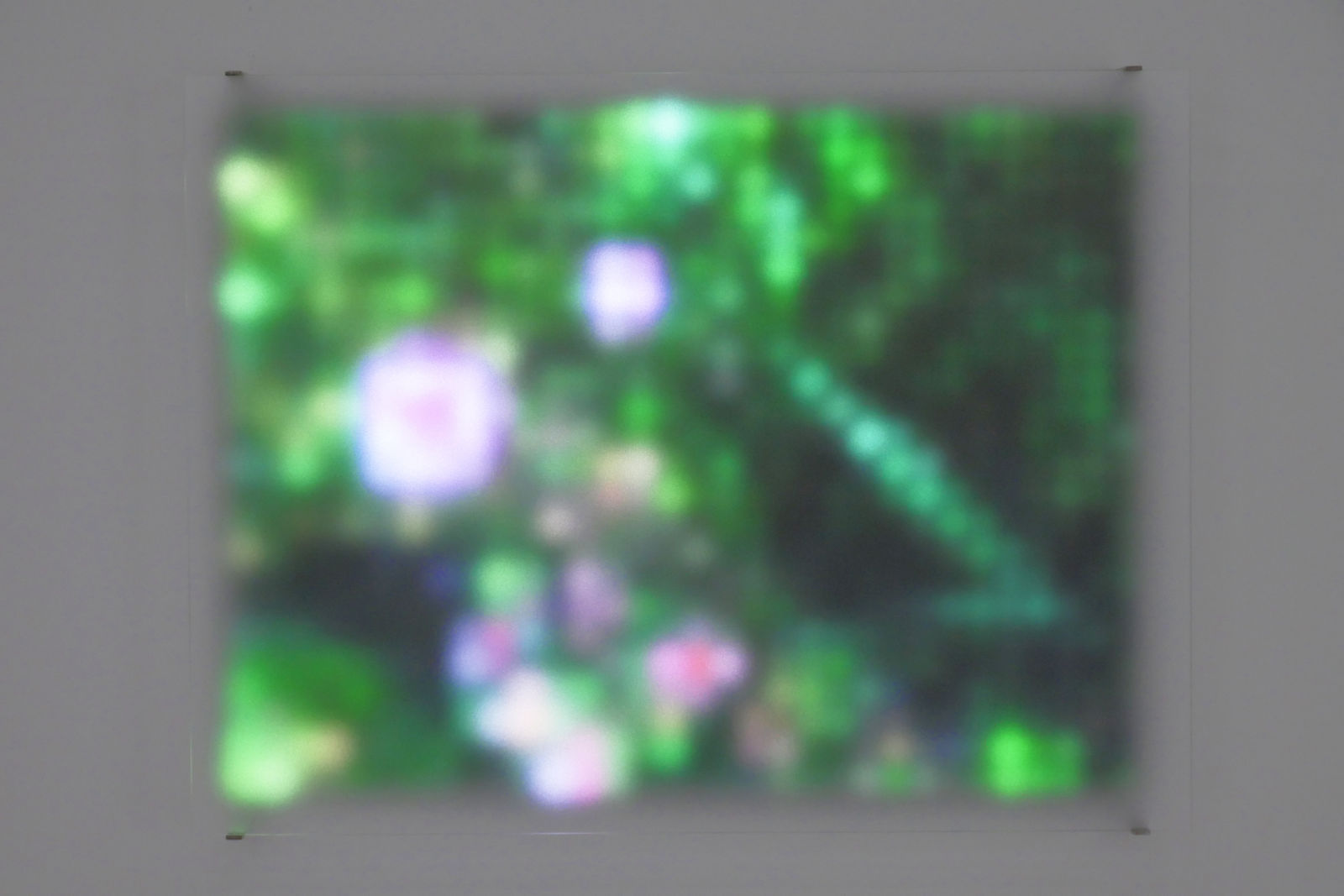 Jim Campbell, Motion Color Study #2, 2024