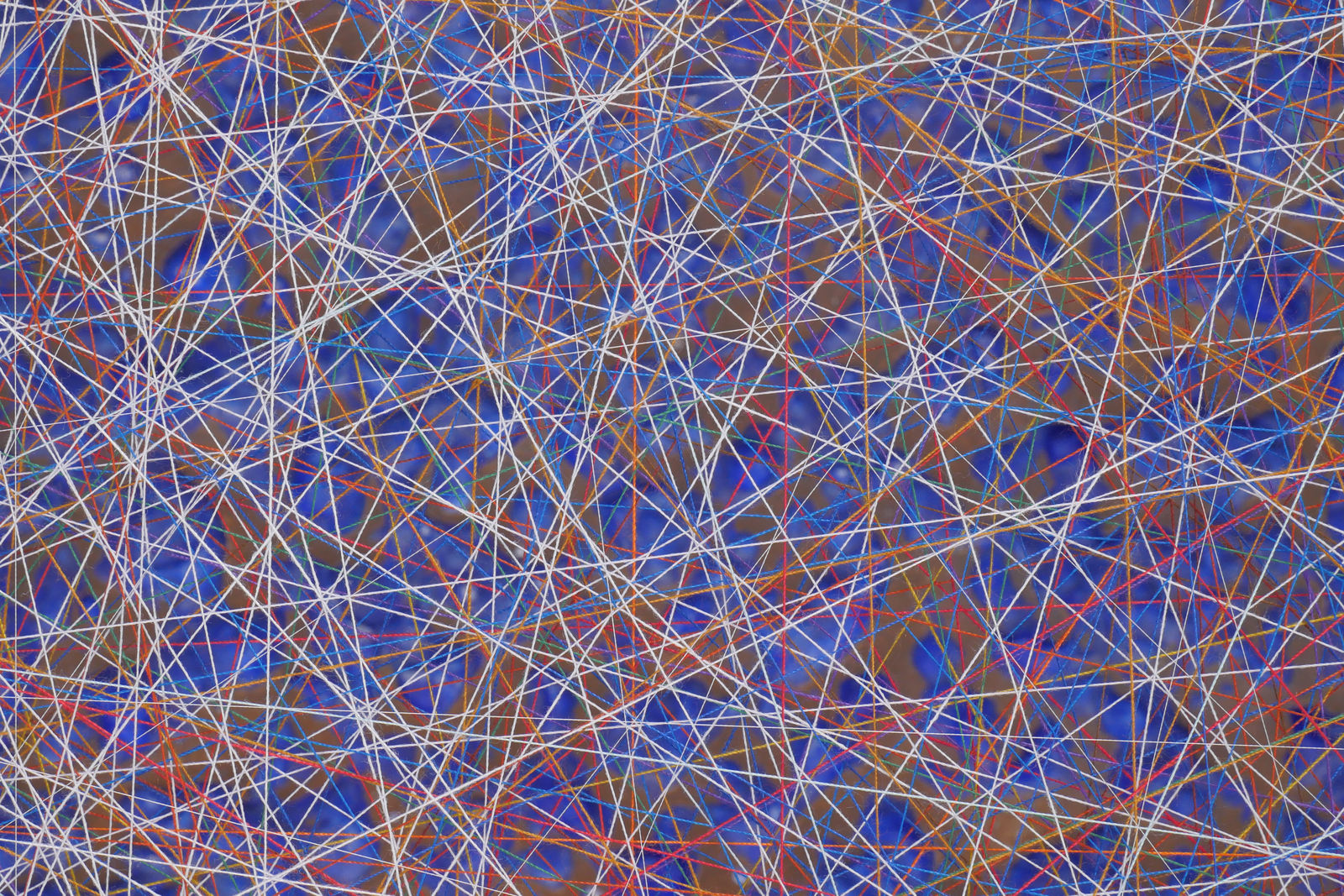 Emil Lukas, #2170, 2023