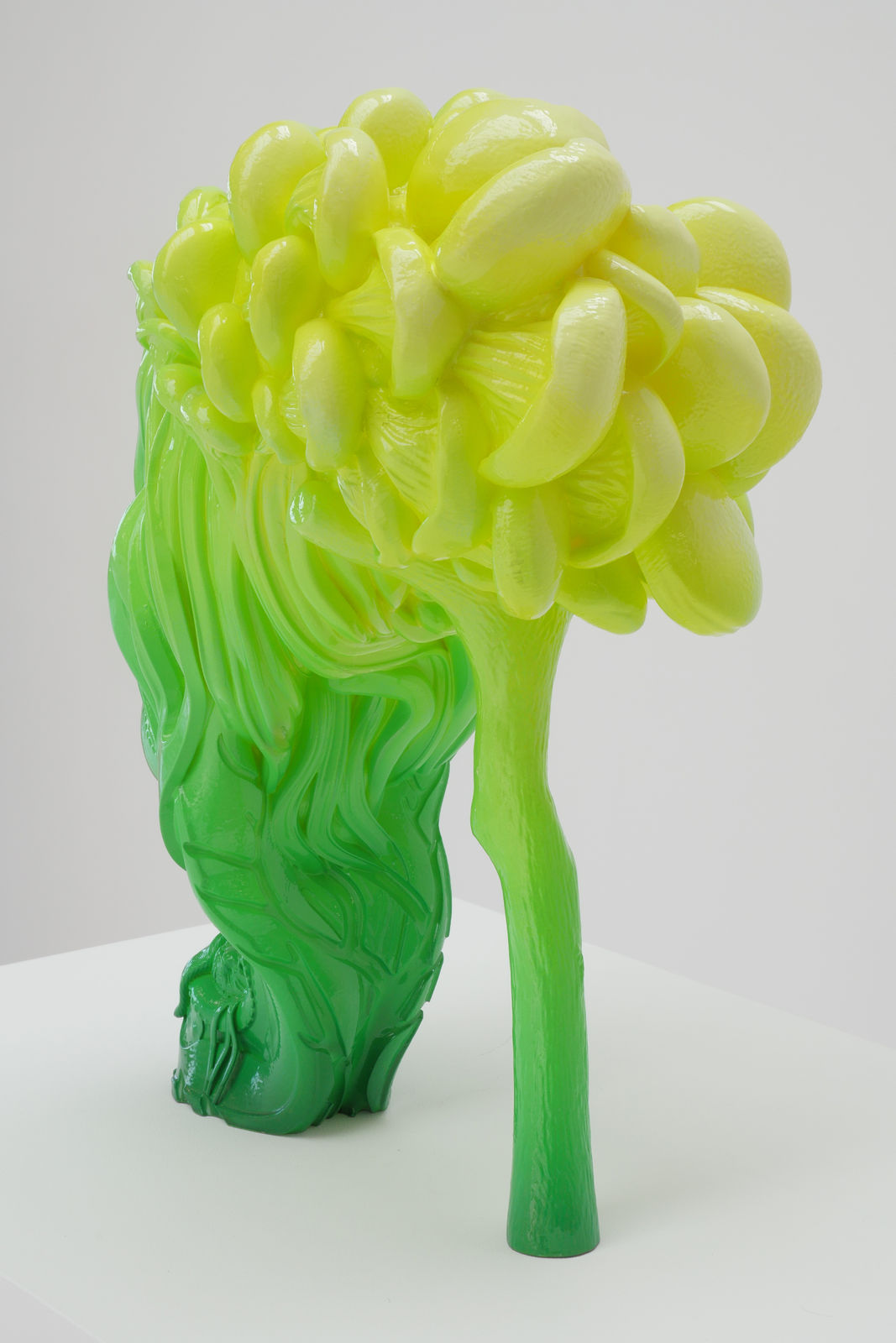 Patricia Piccinini, Shoeform (Tresses), 2019