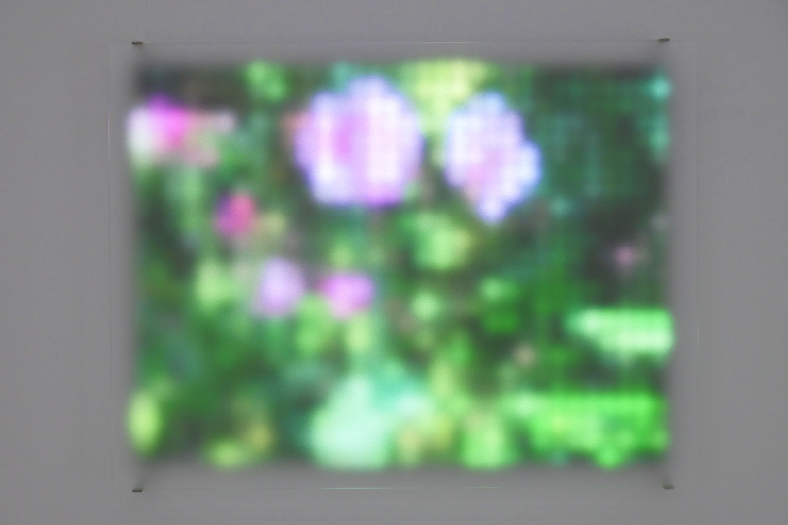 Jim Campbell, Motion Color Study #2, 2024