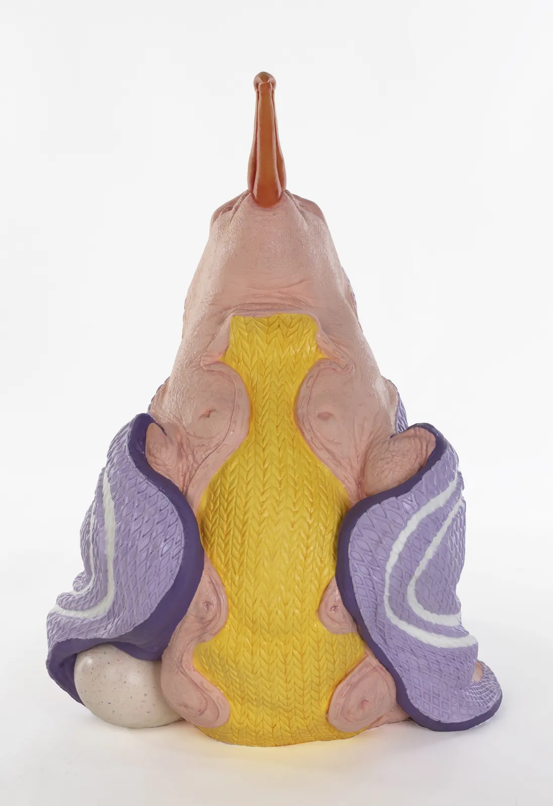 Patricia Piccinini, Cloudgazer, 2024