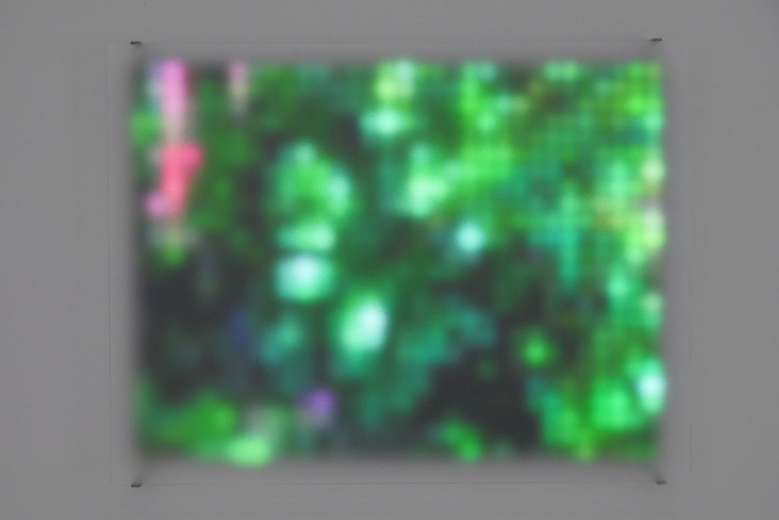 Jim Campbell, Motion Color Study #2, 2024