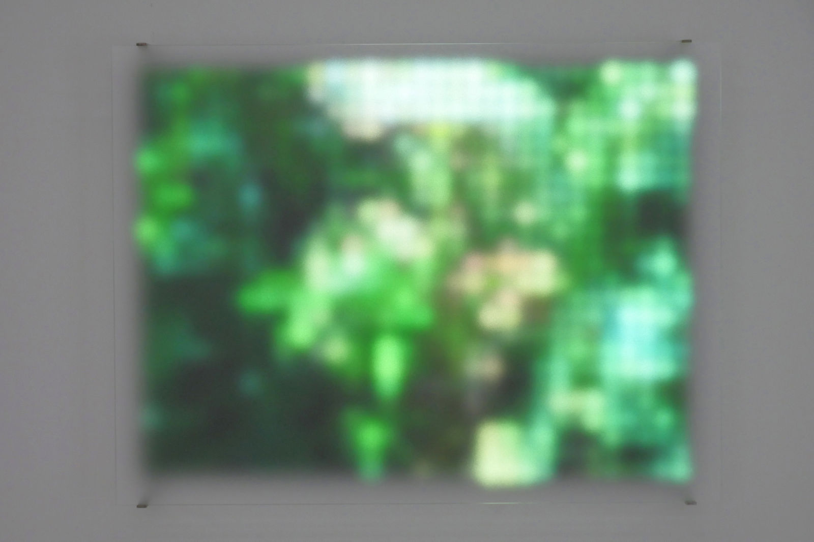 Jim Campbell, Motion Color Study #2, 2024