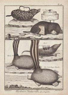 Ruth Marten, Ladies Goods, 2007