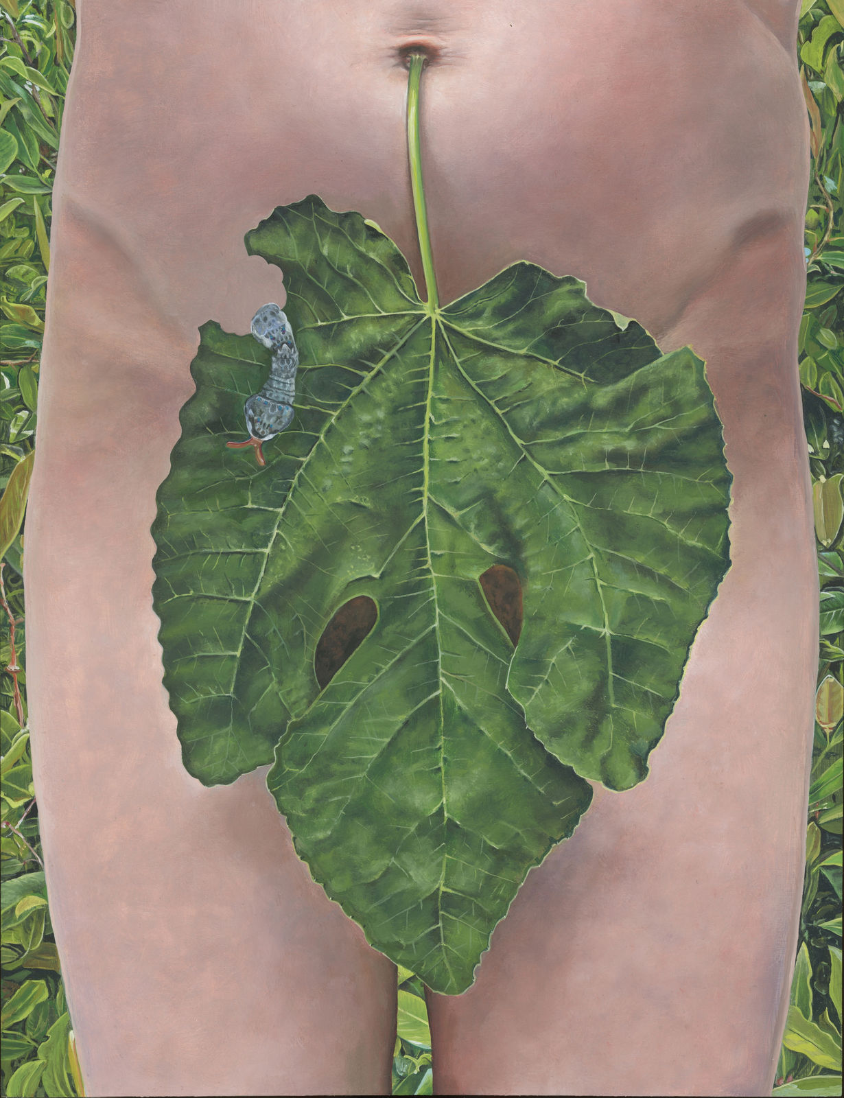 Tim Hawkinson, Fig Pic, 2024