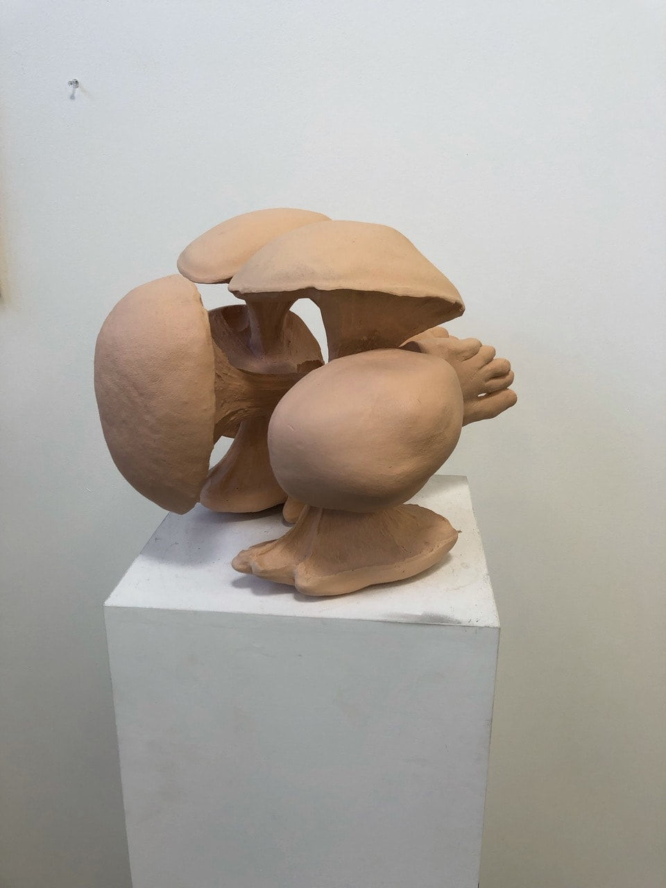 Tim Hawkinson, Nine Lobed Roliepolie, 2019