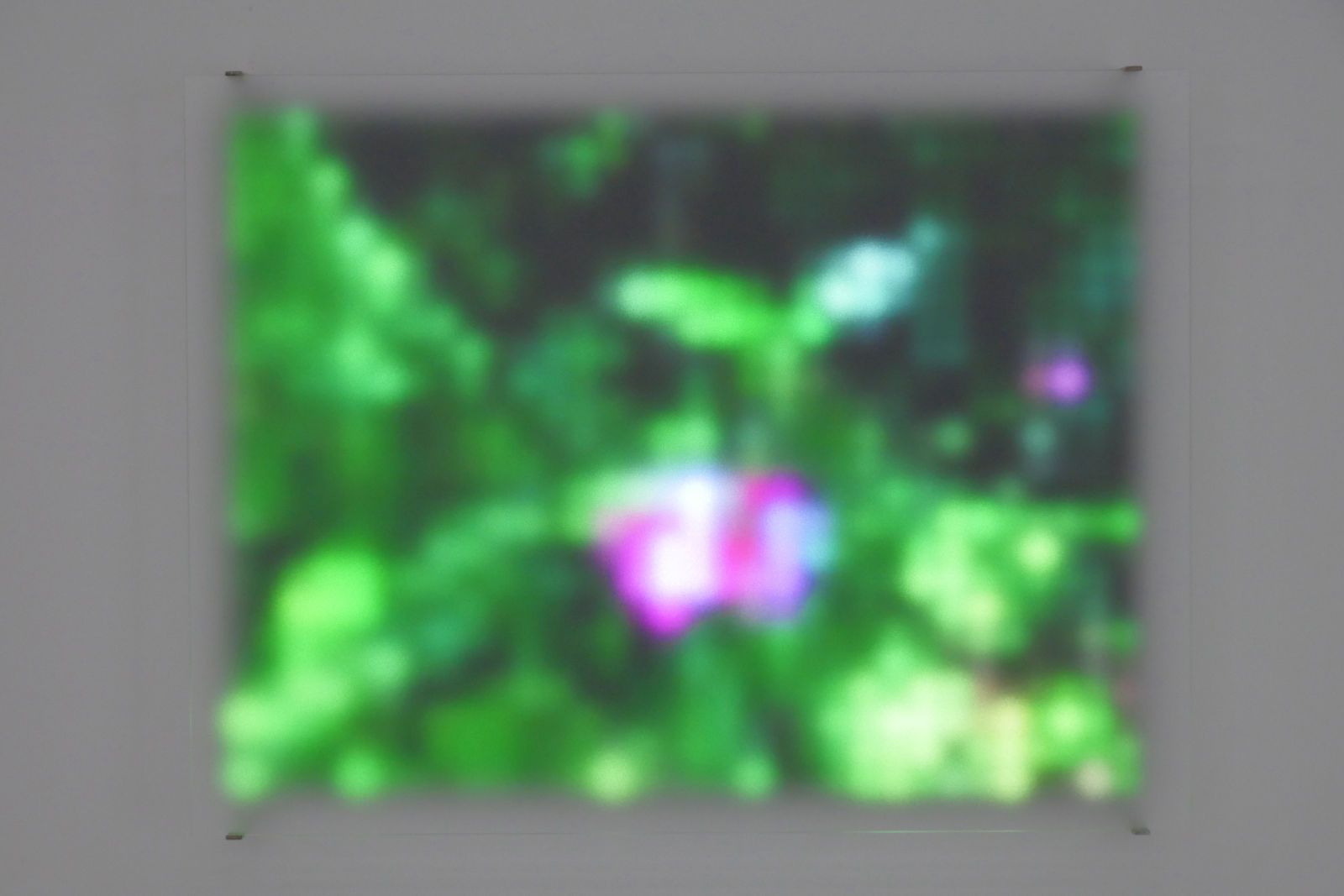 Jim Campbell, Motion Color Study #2, 2024