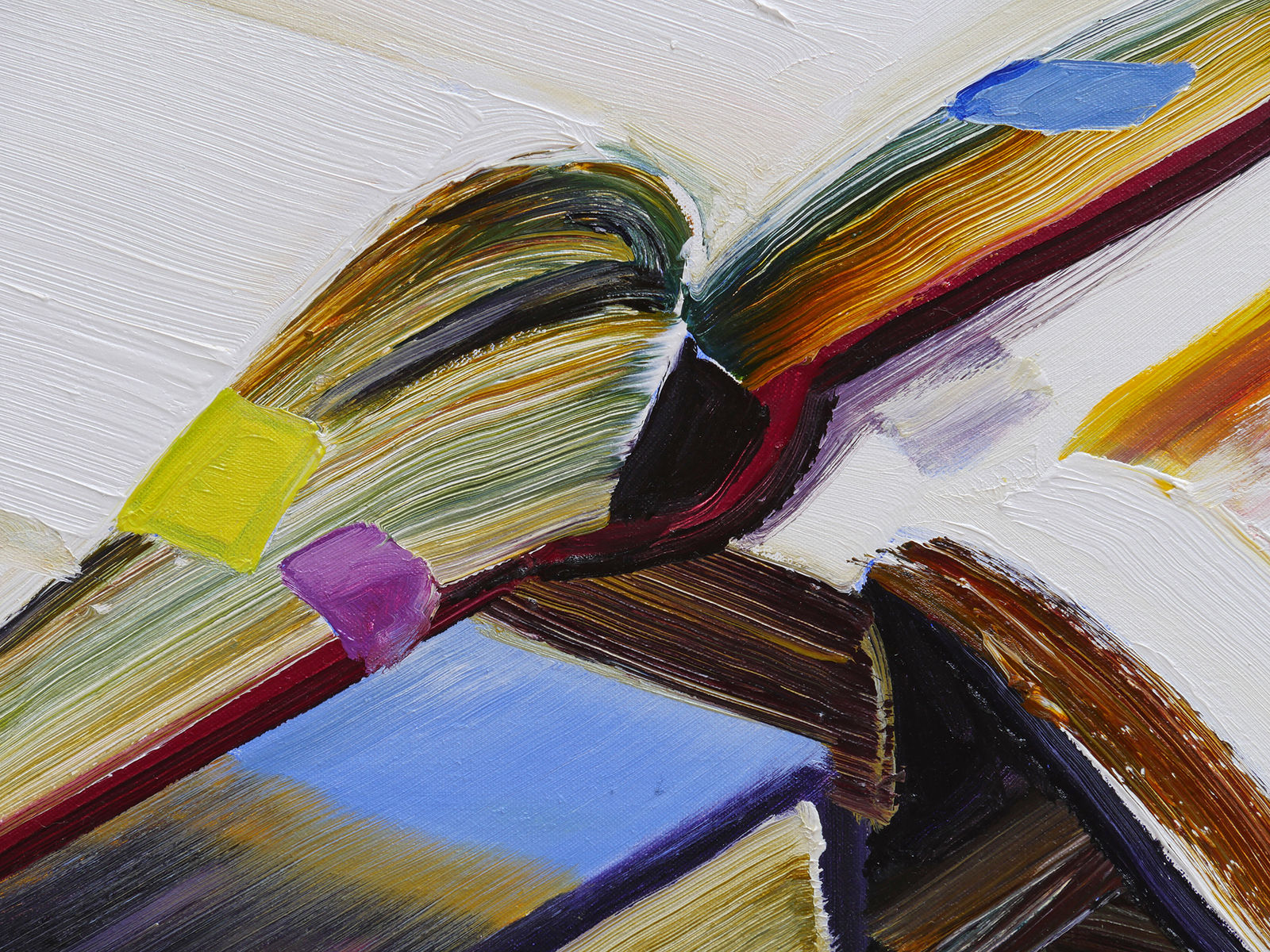 Detail of Side of Beef.