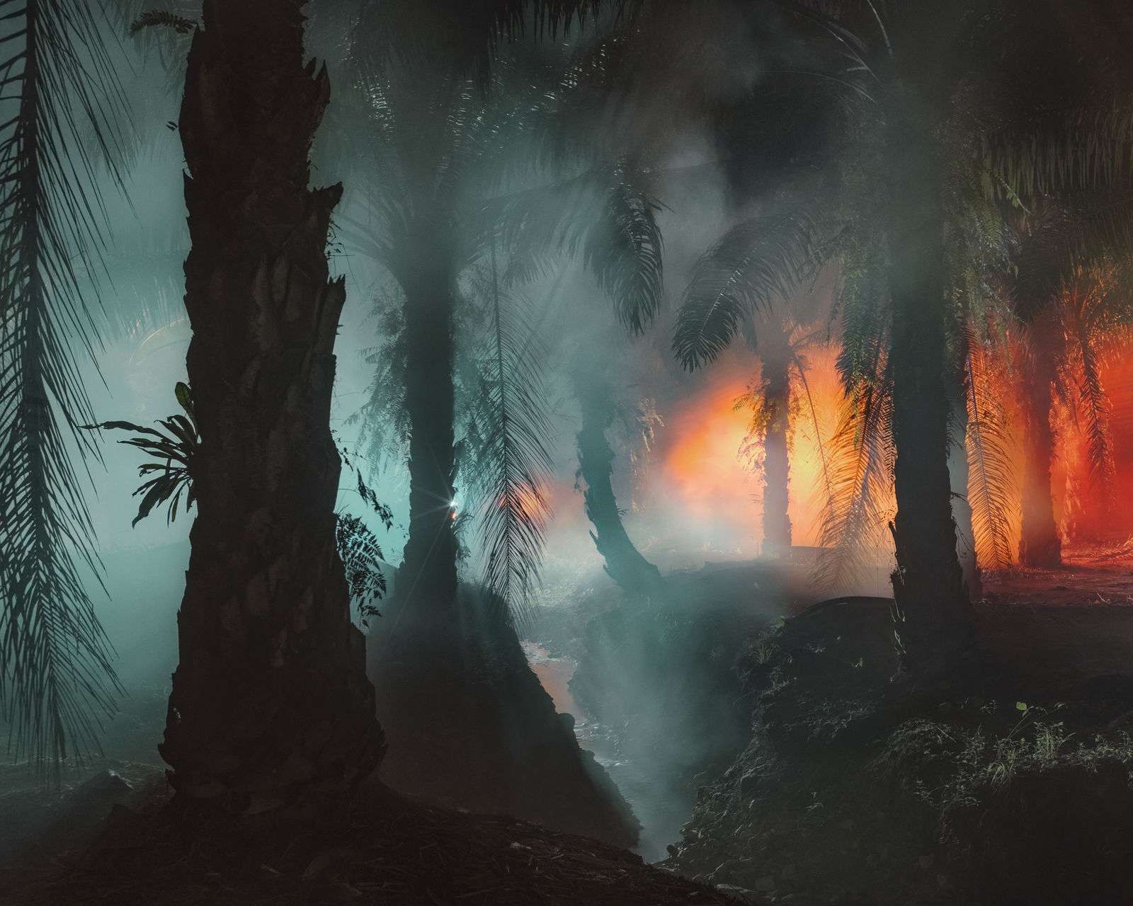 Julian Charrière, An Invitation to Disappear - Sorong, 2018