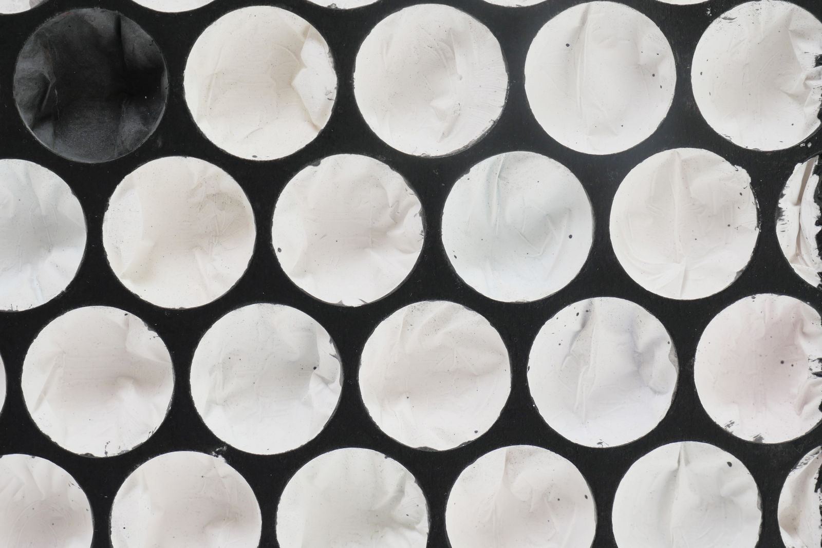 detail of minor undulant with bulbs #2081