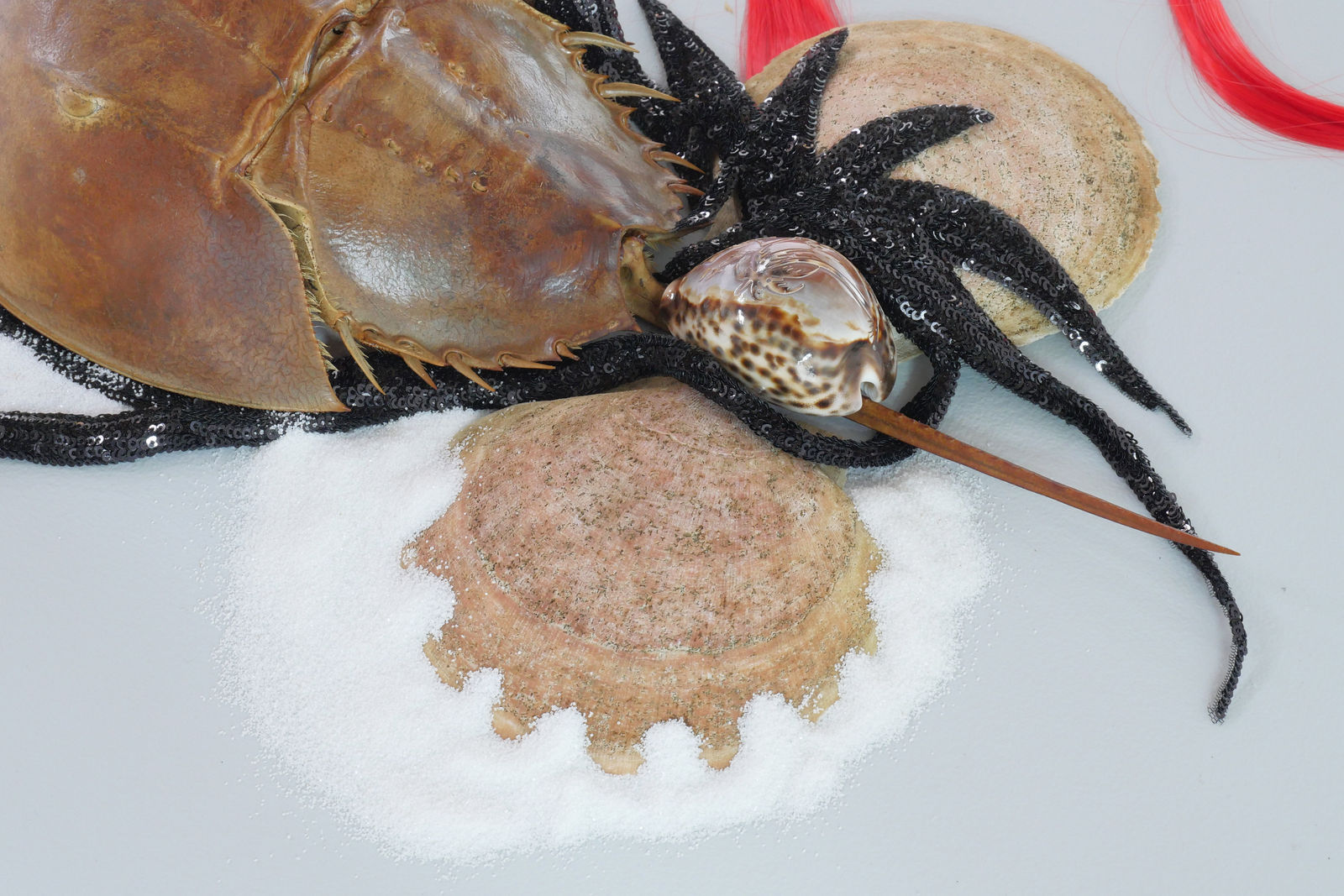 Rina Banerjee, Life after death, freed, in a shell that remains, dismantled and repurposed, diligently loose and now mobile when unearthed evokes new skin where once like hermit and Houdini combined living is entangled now awake slip out to free, see, feel speak., 2024