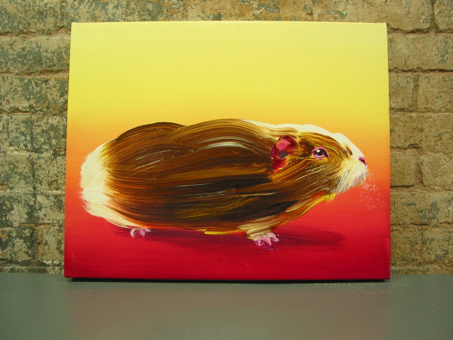 Guinea pig with smooth brown fur viewed in profile against yellow to red gradient background.