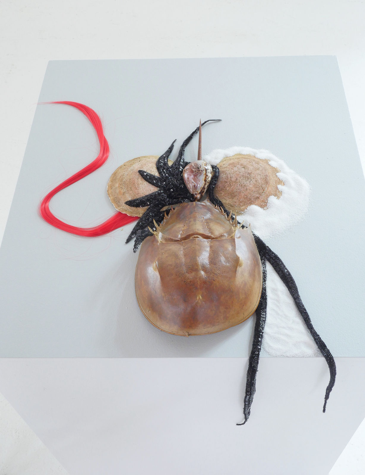 Rina Banerjee, Life after death, freed, in a shell that remains, dismantled and repurposed, diligently loose and now mobile when unearthed evokes new skin where once like hermit and Houdini combined living is entangled now awake slip out to free, see, feel speak., 2024