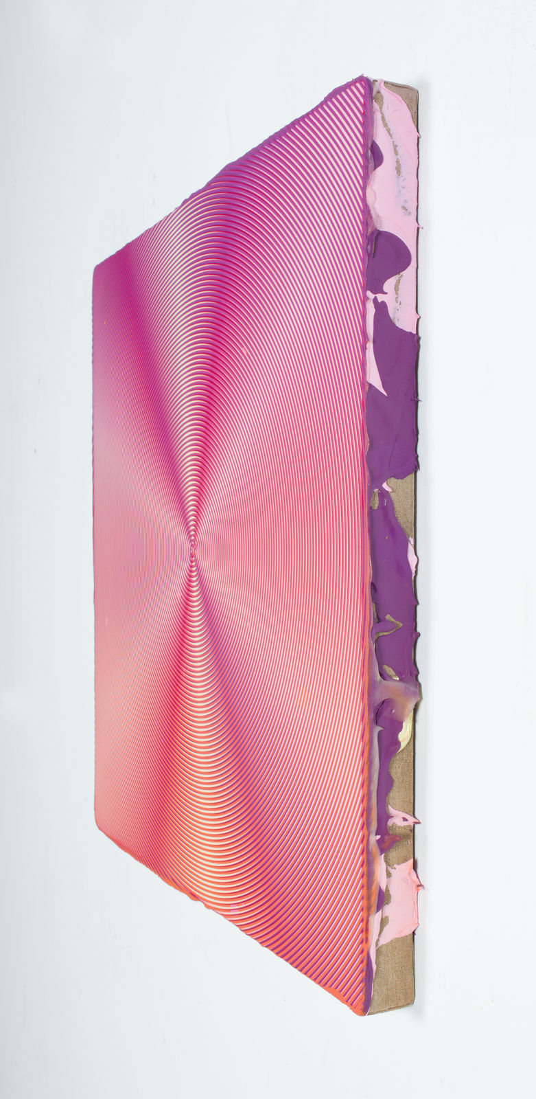 Anoka Faruqee & David Driscoll, 2024P-03, 2024