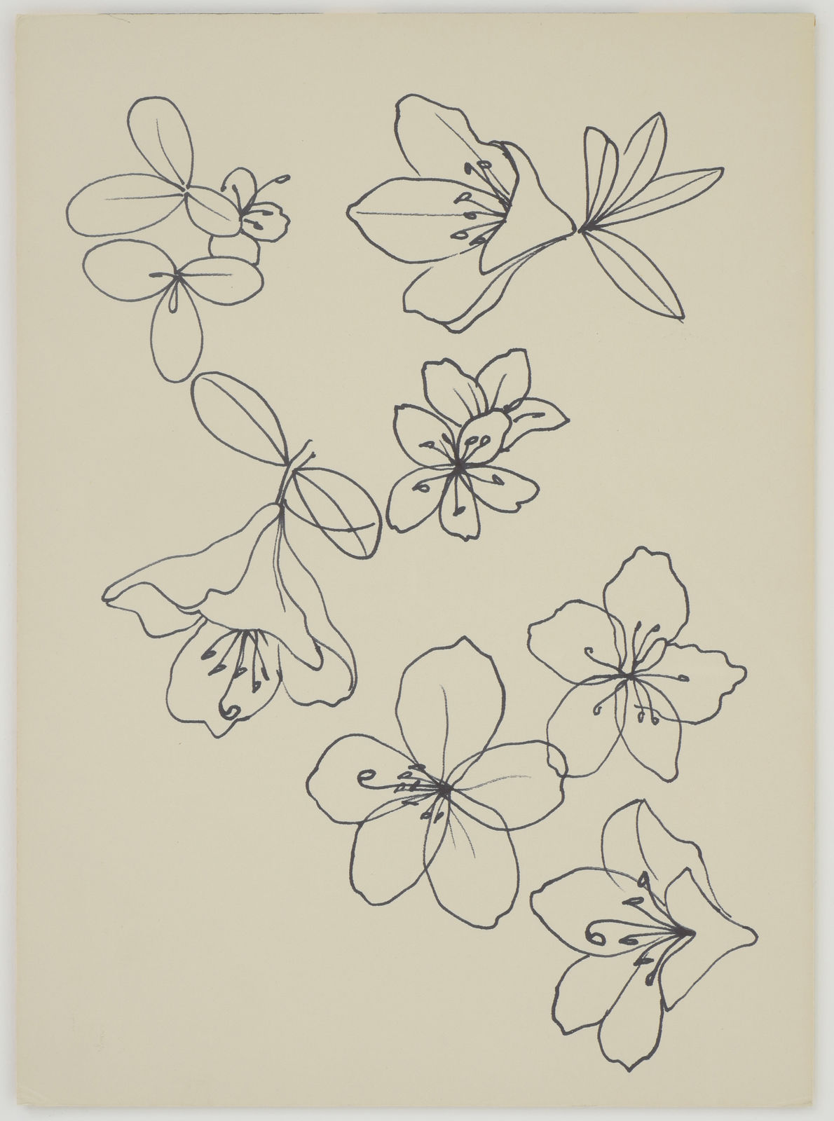 Ruth Asawa, Untitled (PF.1158, Cherry Blossoms), c. 1976