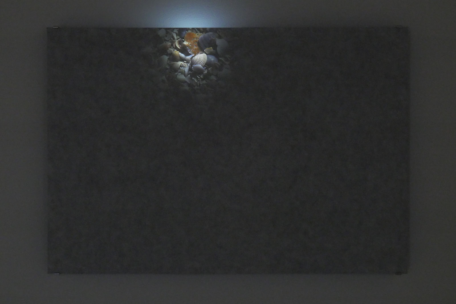 An image of the piece with a small burst of light showing sea shells.