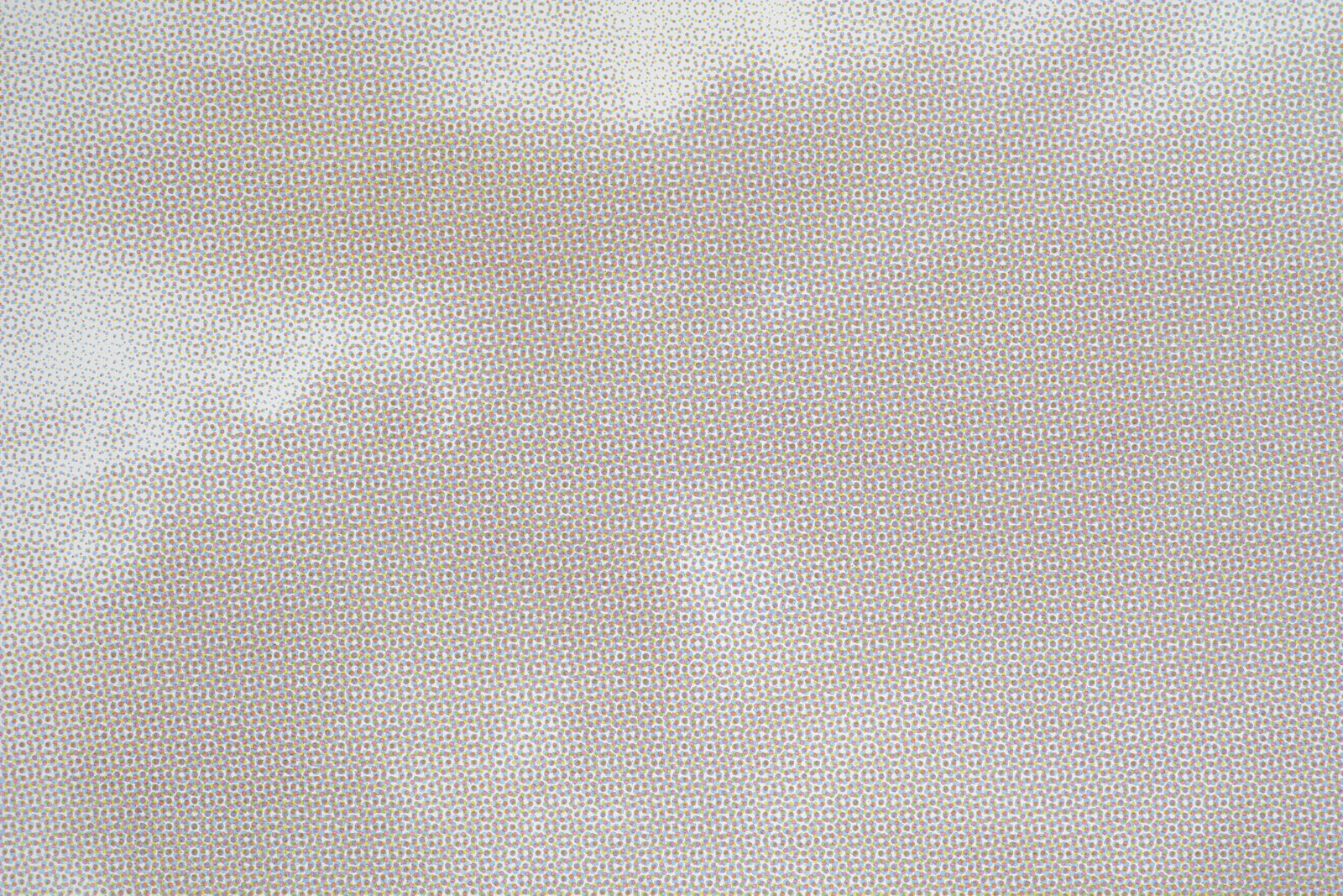 Nicole Phungrasamee Fein, Sky, 2023