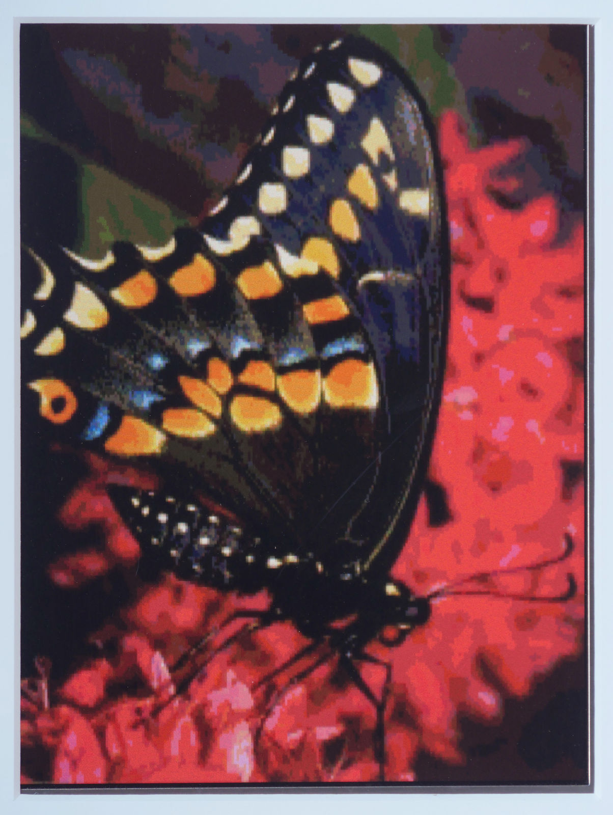 Detail of piece depicting butterfly.