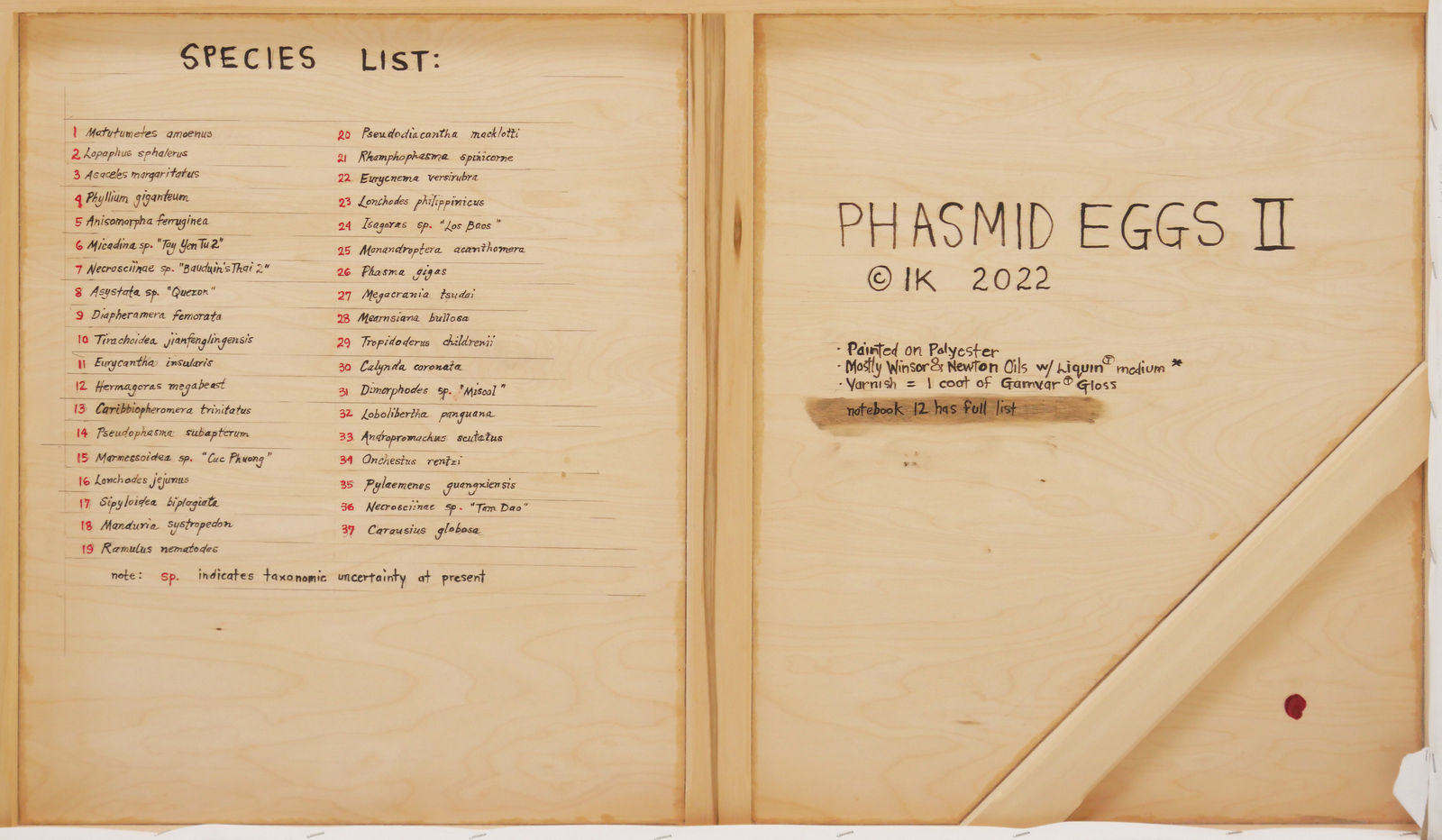 Isabella Kirkland, Phasmid Eggs II, 2022