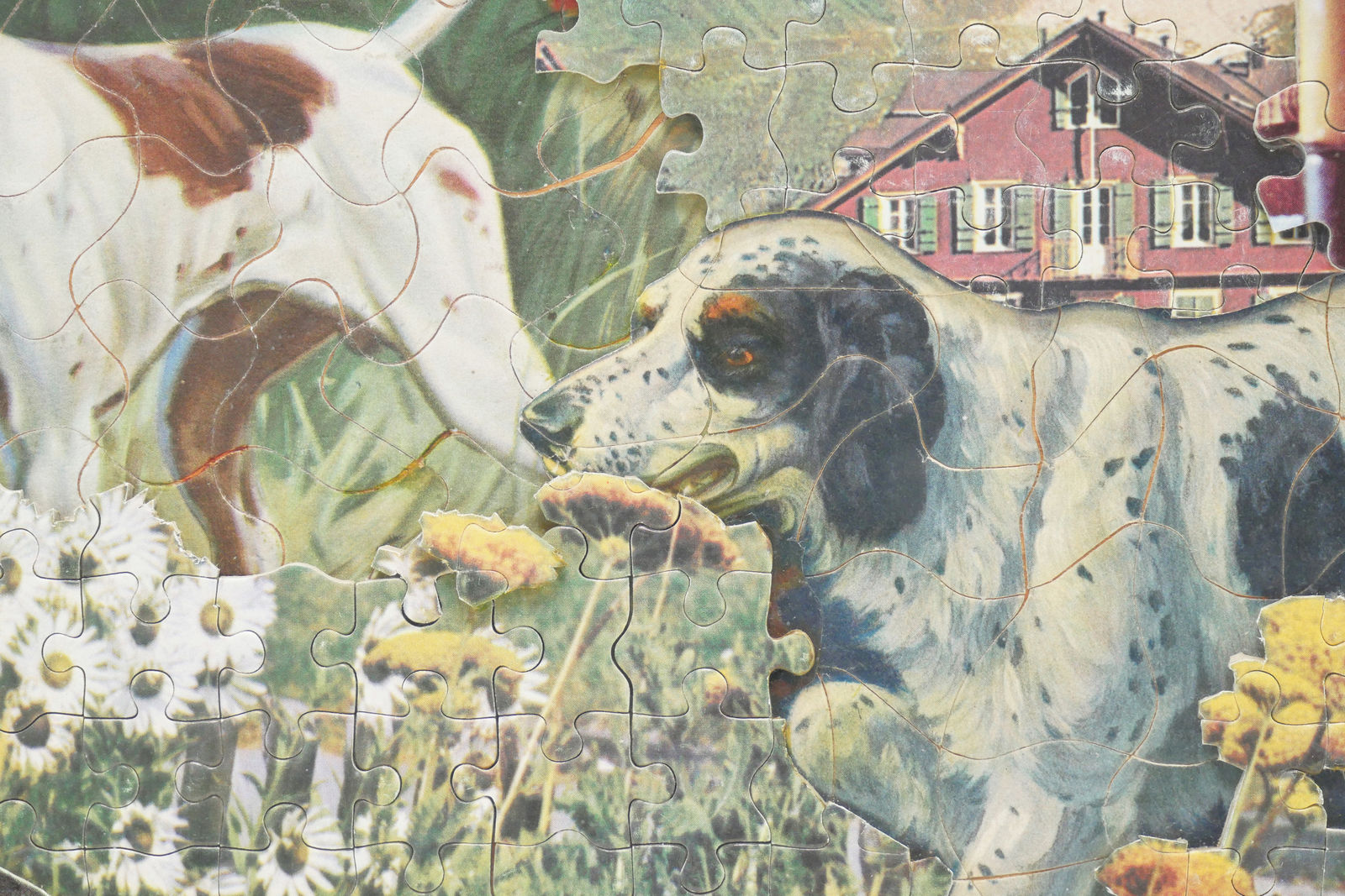 Jess (Collins), Game's Up, 1981