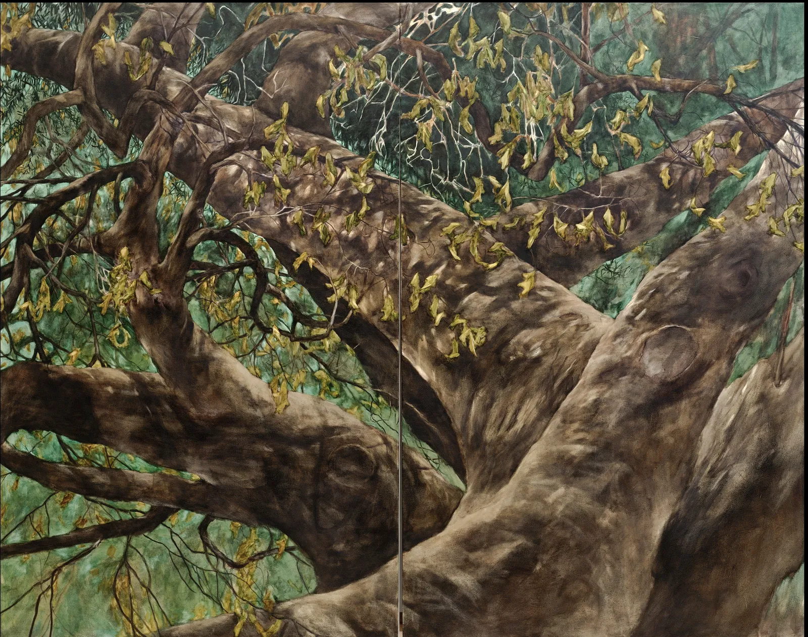 A tree and its branches and leaves.