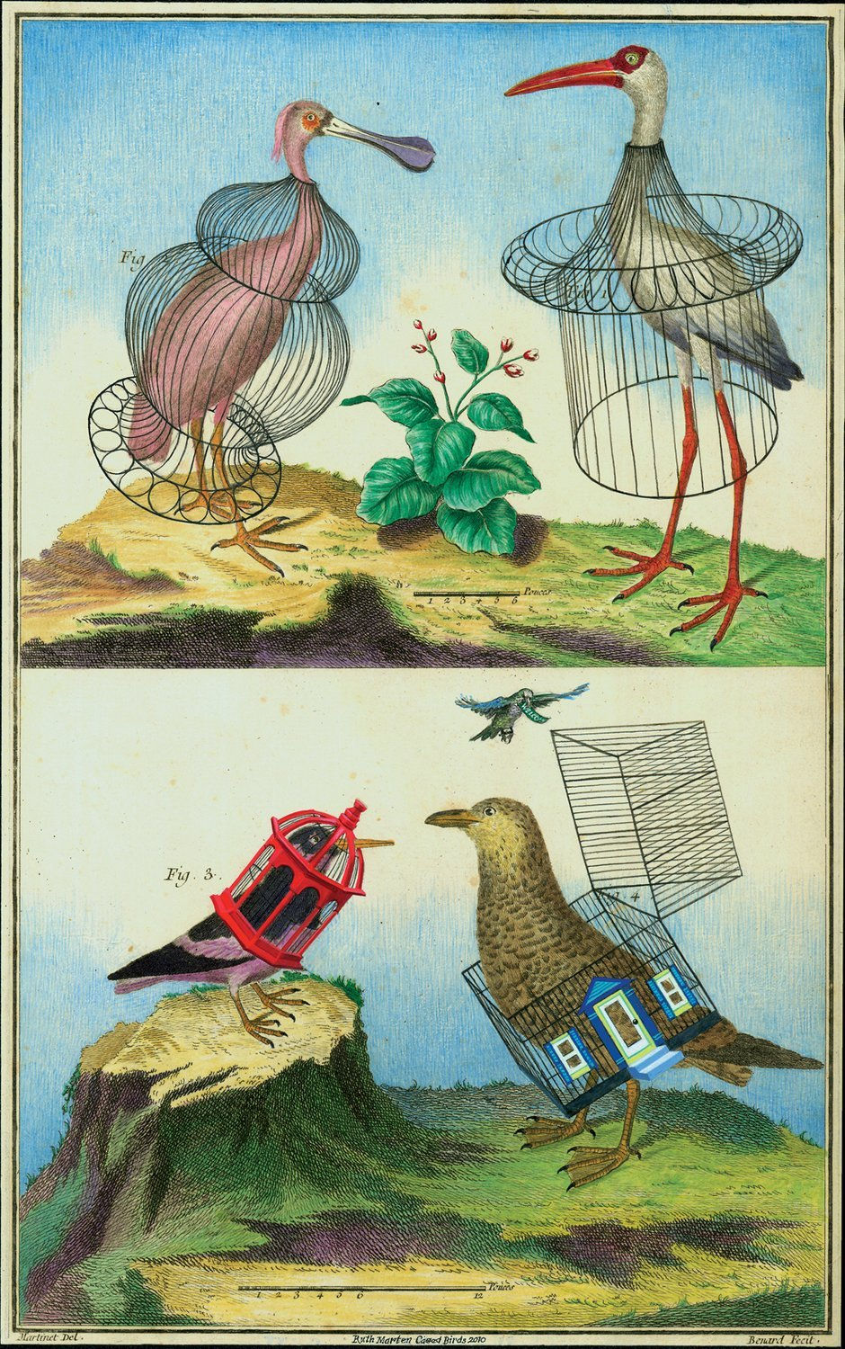 Ruth Marten, Caged Birds, 2010