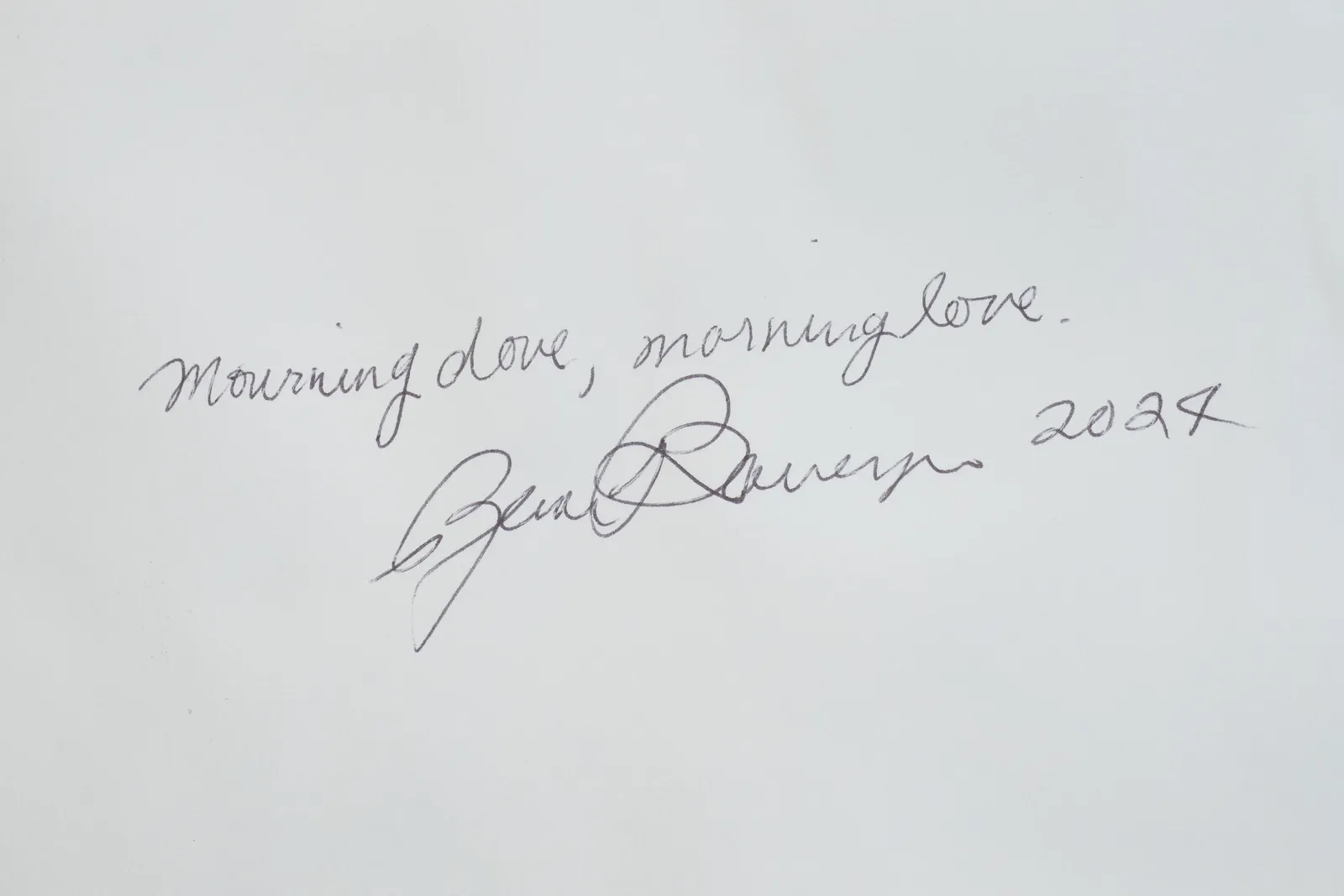 Rina Banerjee, Morning dove, morning love., 2024