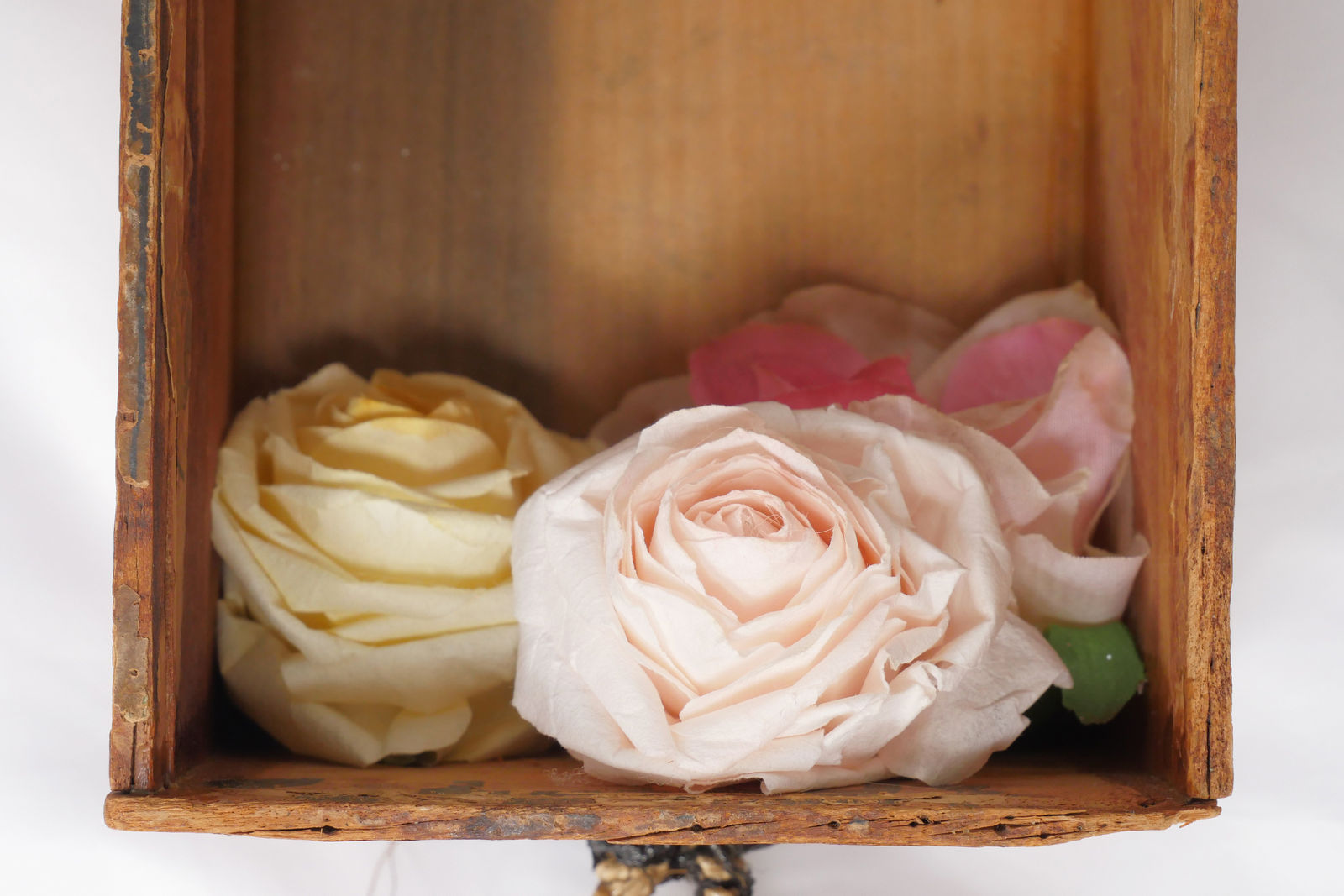 Bryan Keith Thomas, Baby Sister, 2024