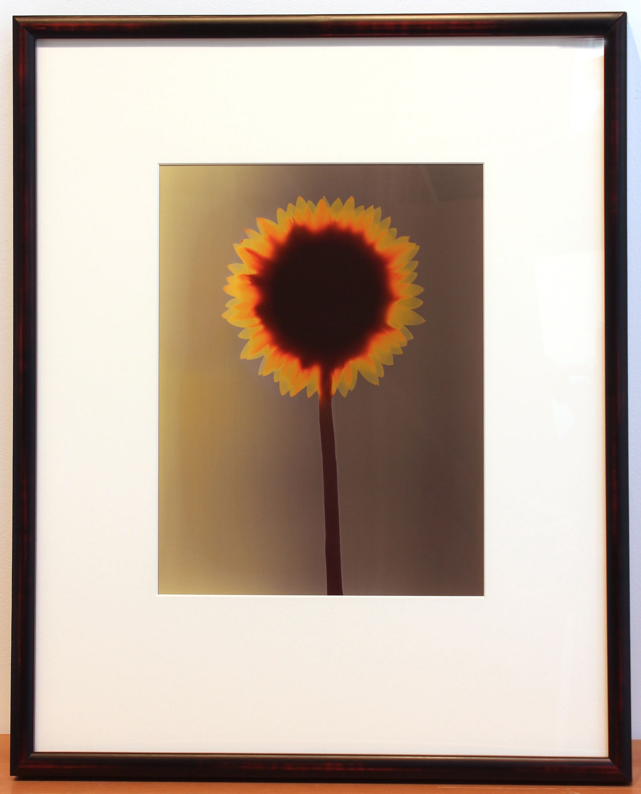 ADAM FUSS, Untitled (Sunflower), 1992