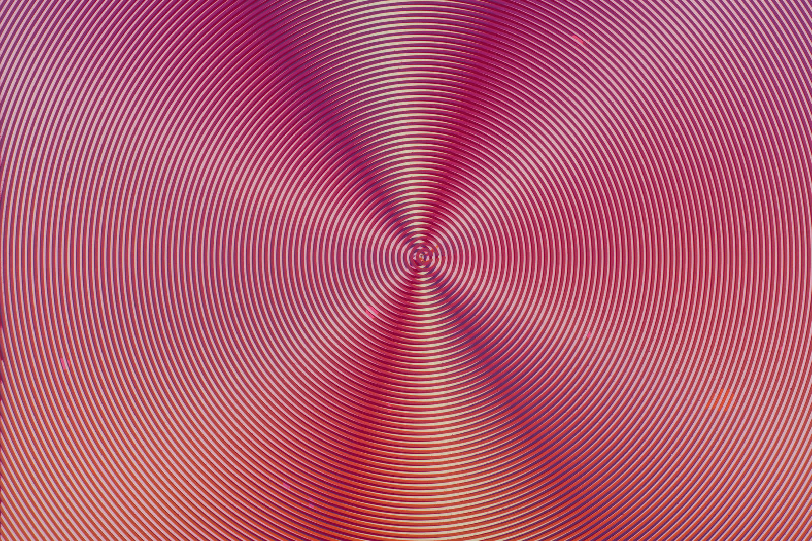 Anoka Faruqee & David Driscoll, 2024P-03, 2024