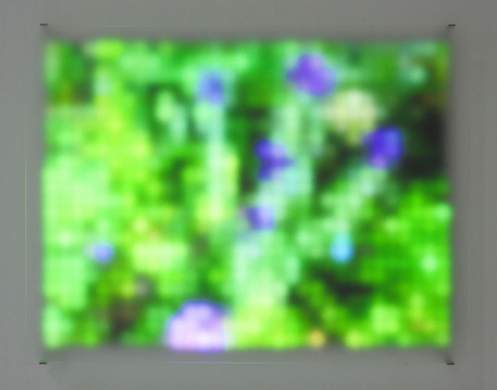 Jim Campbell, Motion Color Study #1, 2024