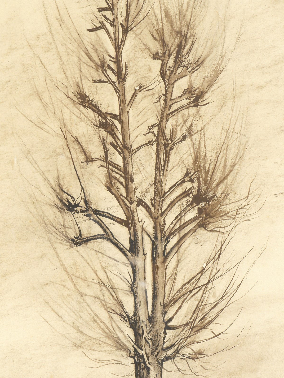 Chusei Inagaki, Tree, 1918