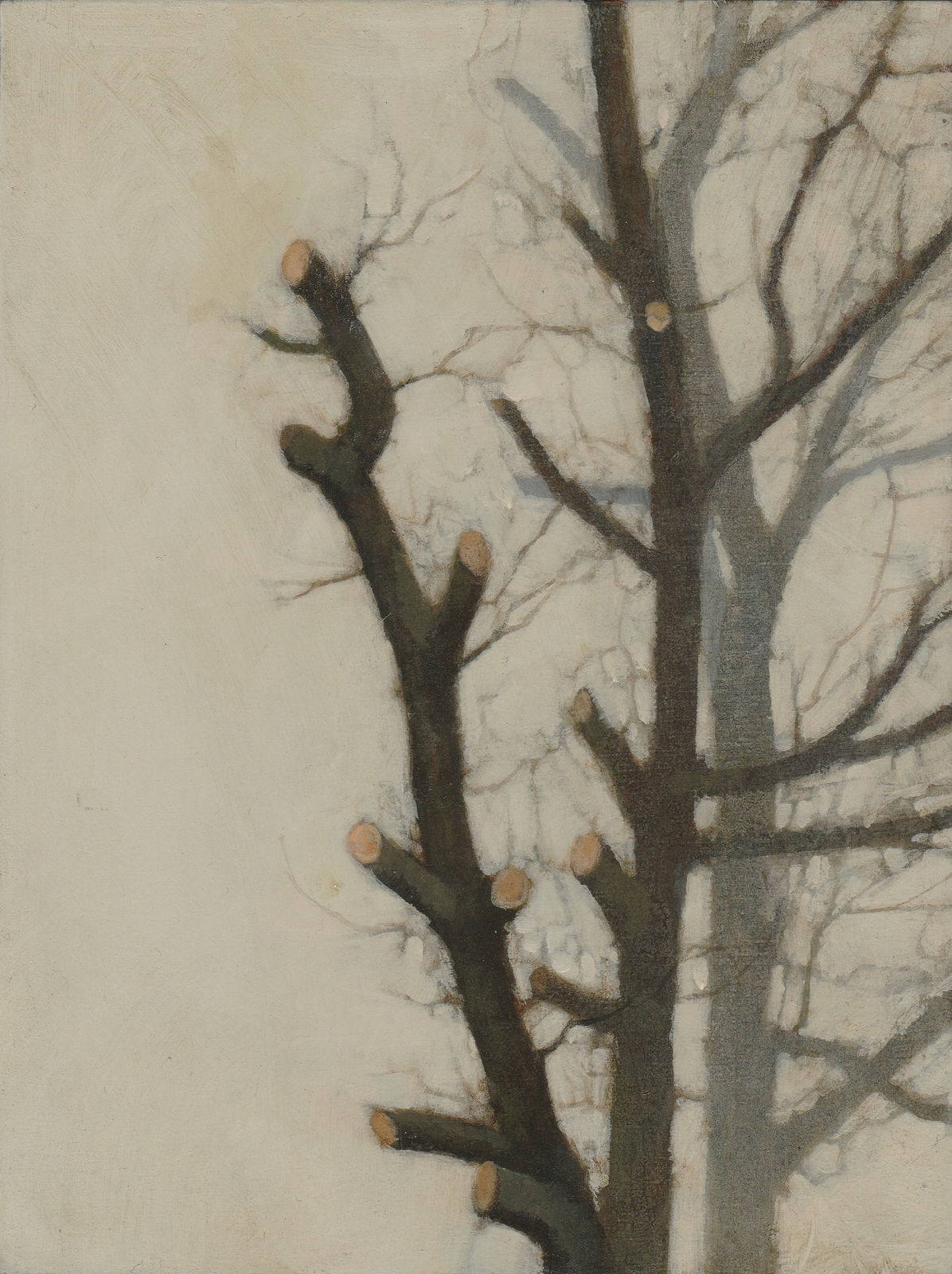 A tree trunk with its limbs cut off shoots up from the bottom of the canvas and casts its shadow on the white background.