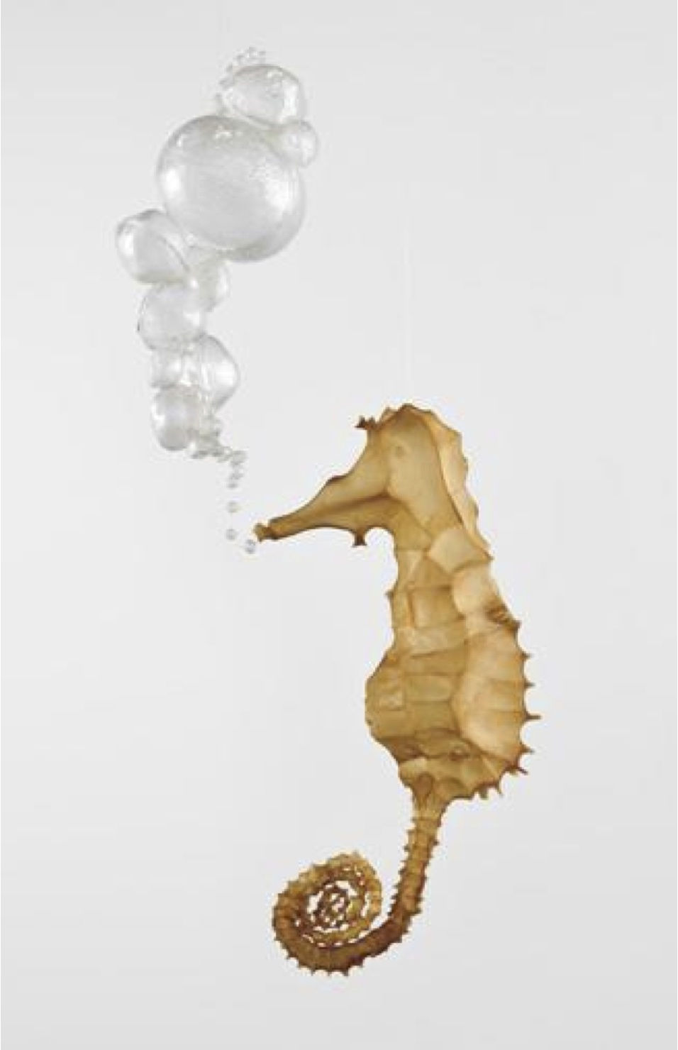 Resin sculpture of a beige seahorse with multiple various sized clear bubbles coming from its mouth