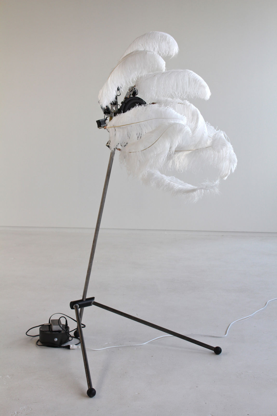 Still image of a moving mechanical sculpture made out of a long black tripod, white ostrich feathers, and custom electronics. The feathers are slightly tilted upwards to the right and obscure the machine center of the sculpture