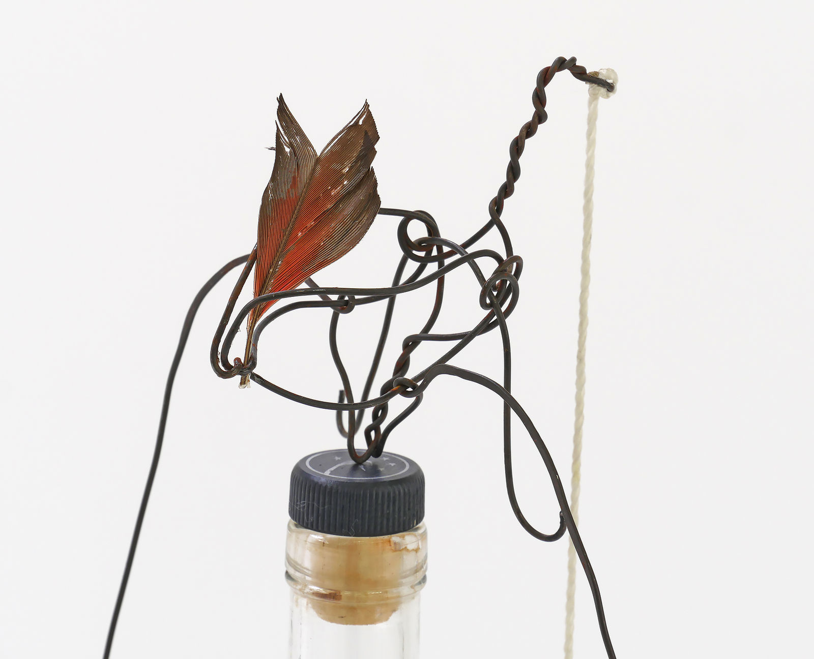 William T. Wiley, Wild Turkey and the Bridge Defiant, 2005