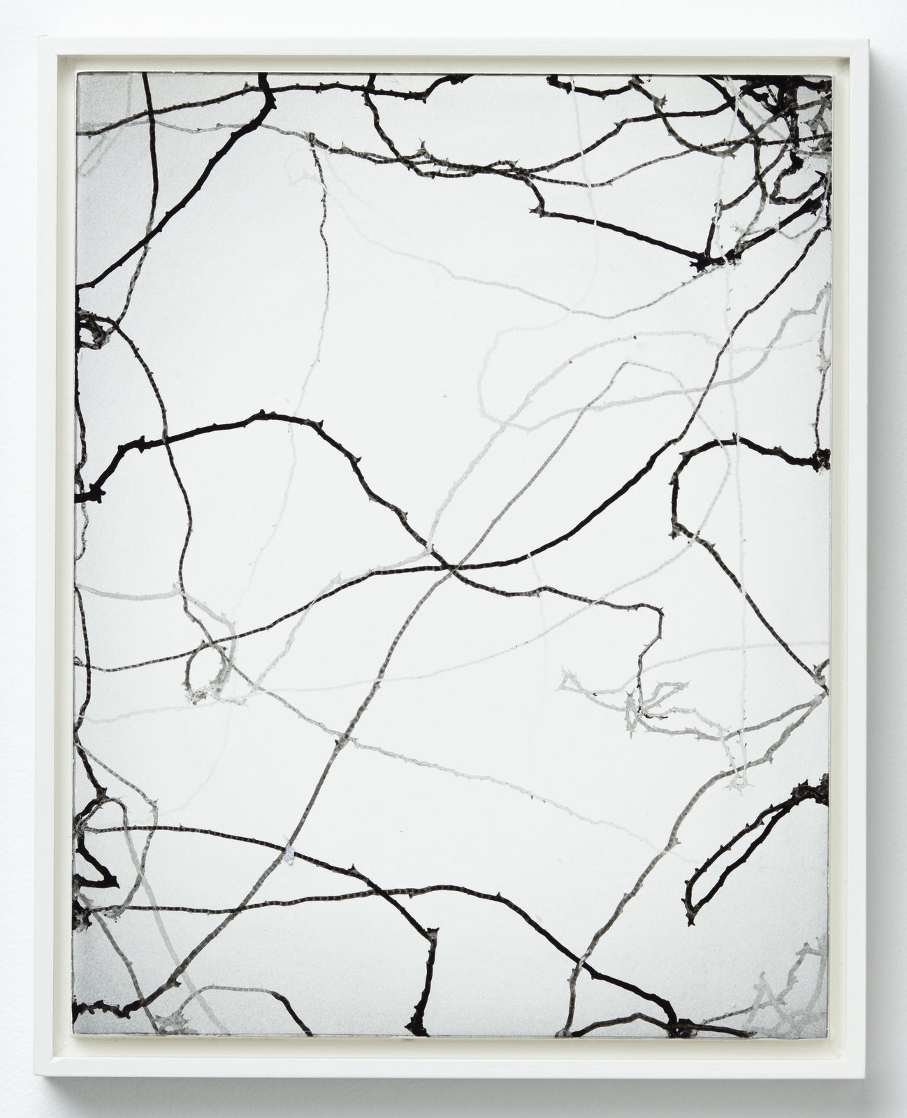 Light gray ink wash with overlapping dark ink trails that fade as they crawl across the paper