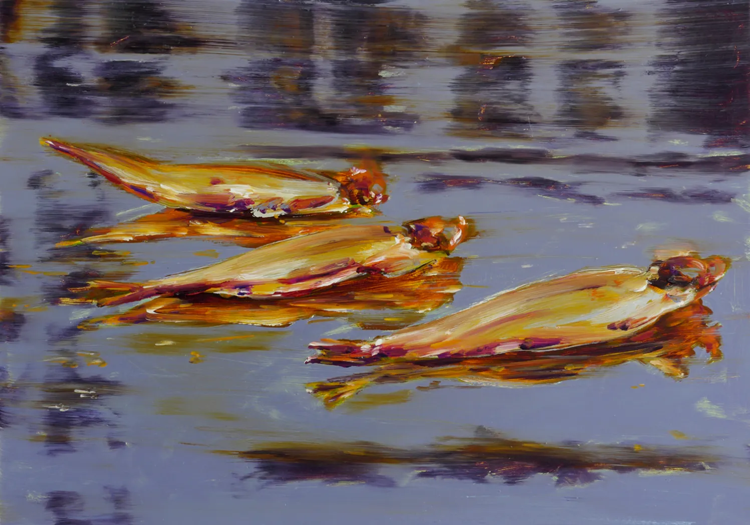 Three dead herrings floating on reflective water surface.