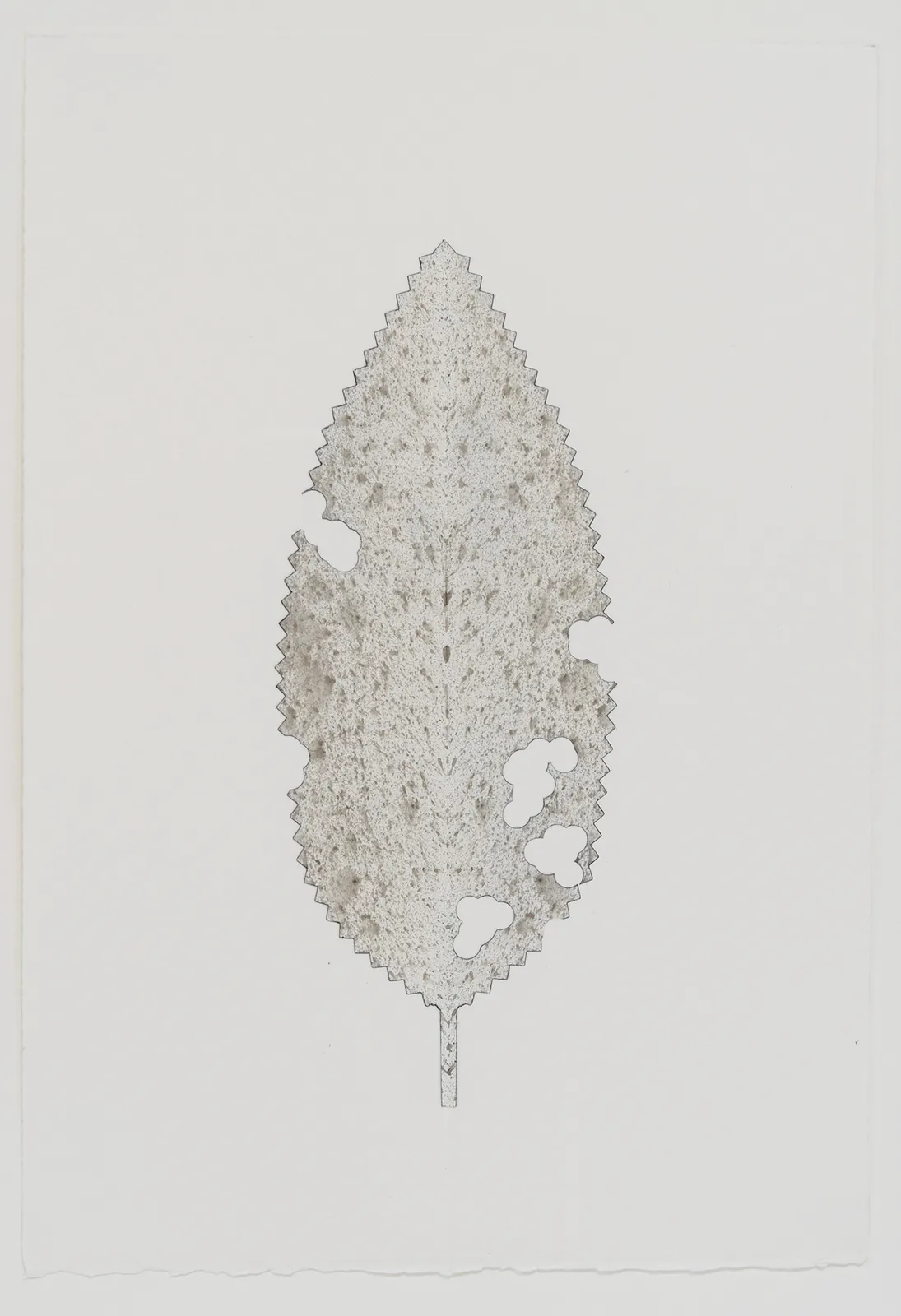 Leaf with holes. Colored with very fine ink blotting, making the leaf read grey.