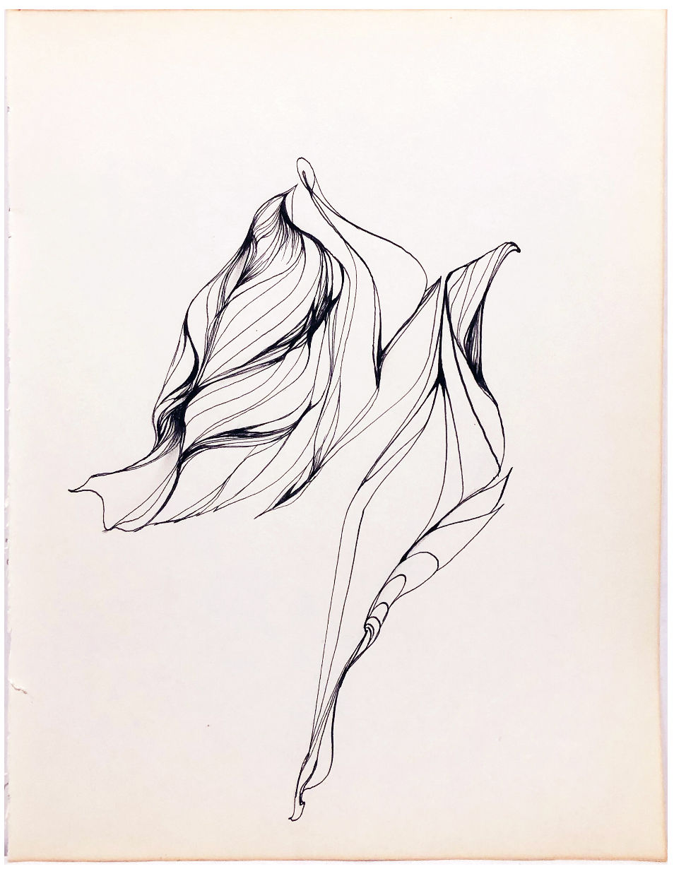 Cameron, Untitled, n.d.