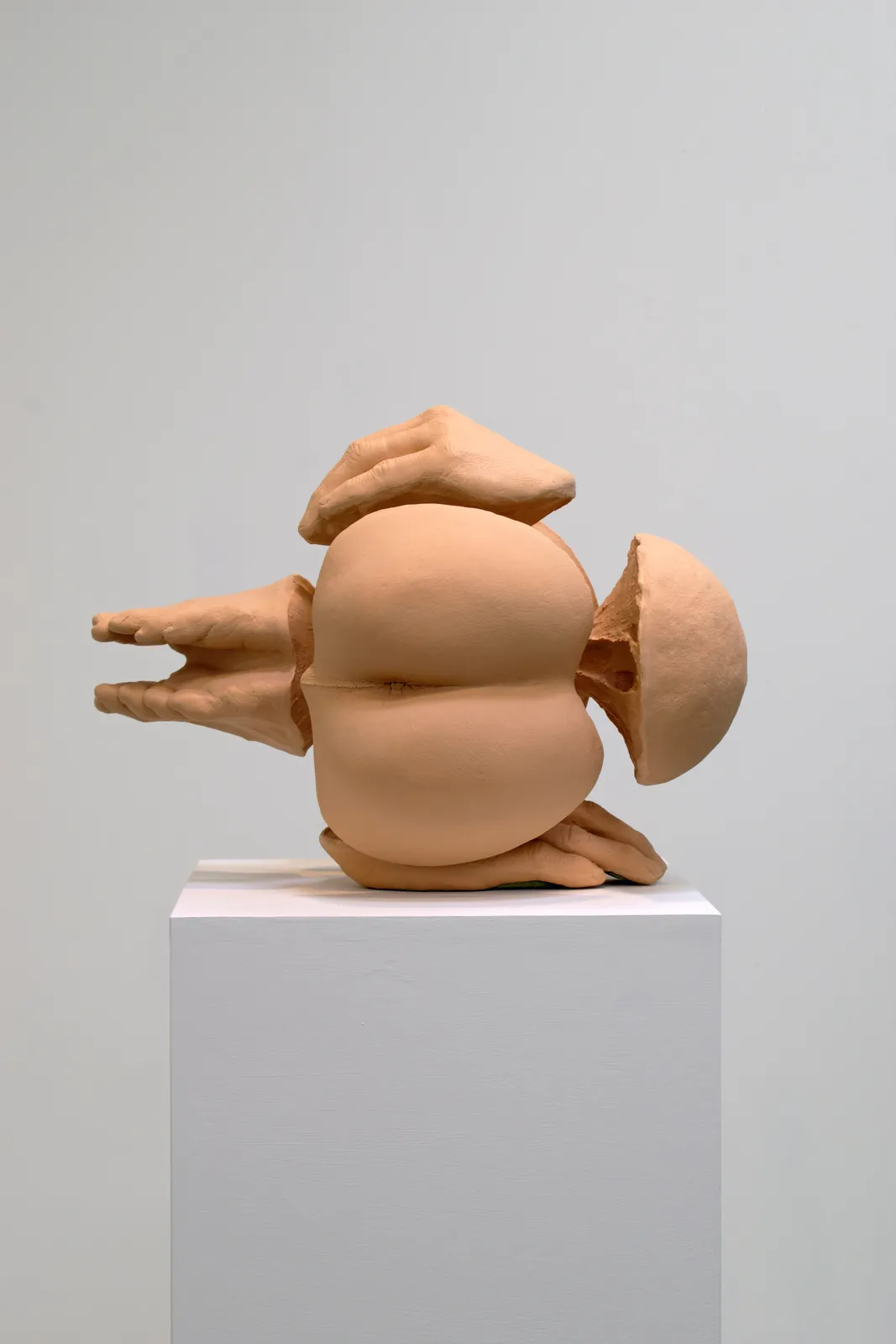 Tim Hawkinson, Six Lobed Roliepolie, 2019