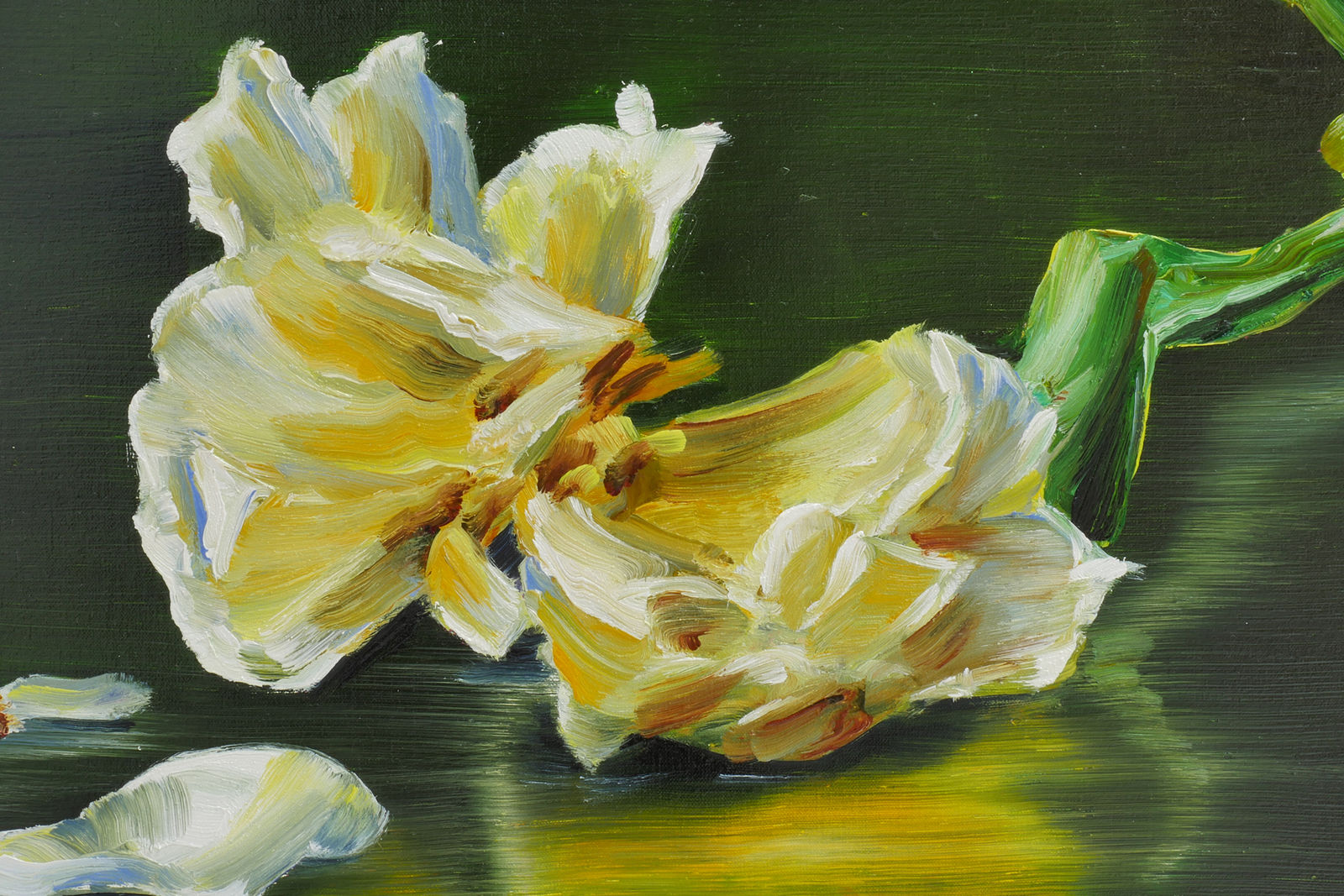 Cornelius Völker, Blüte (Bloom), 2025