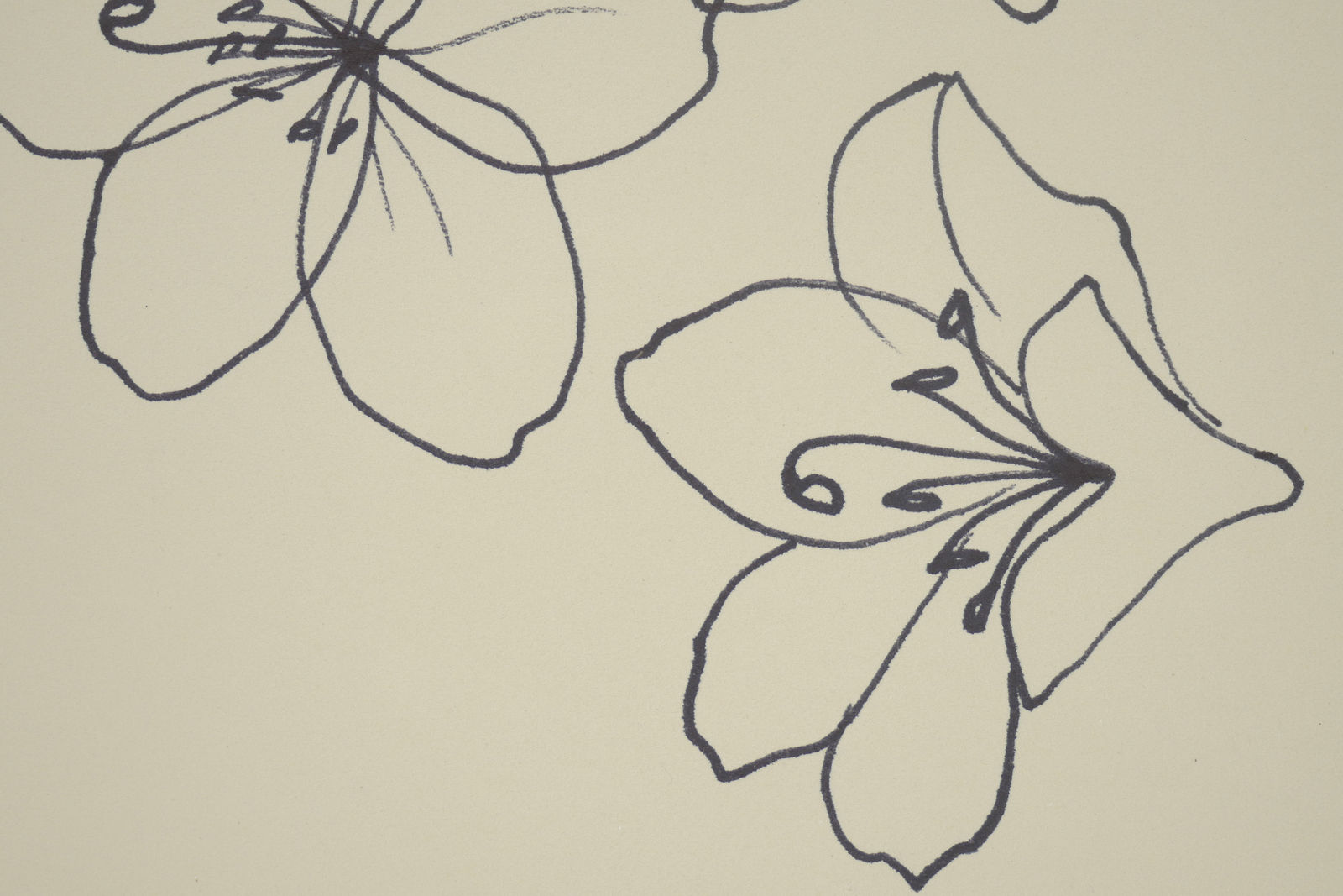 Ruth Asawa, Untitled (PF.1158, Cherry Blossoms), c. 1976