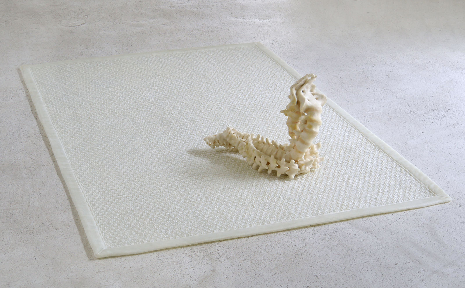 Janine Antoni, to twine, 2015